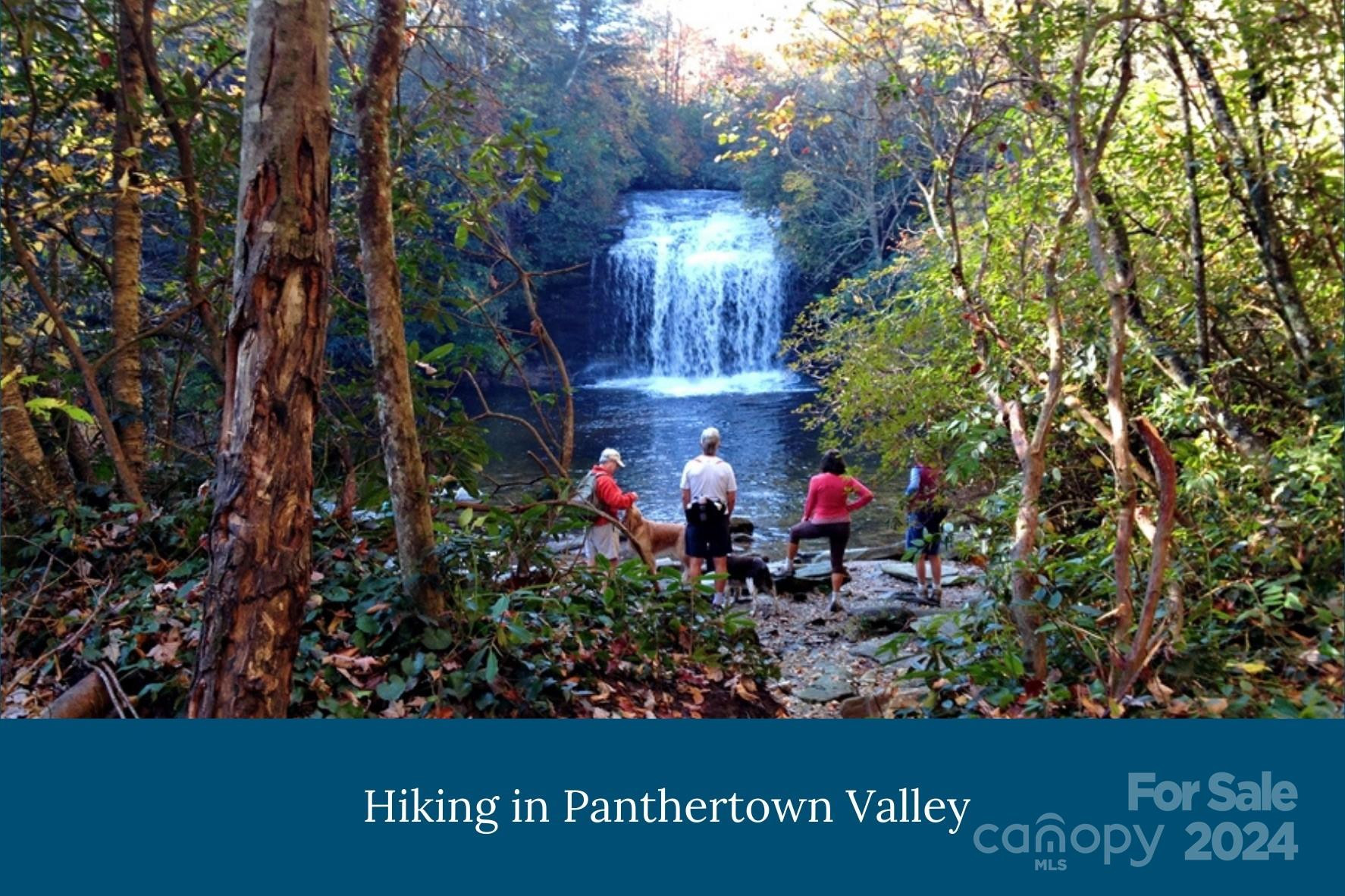 PS 3 Panther Summit Drive - Photo 10