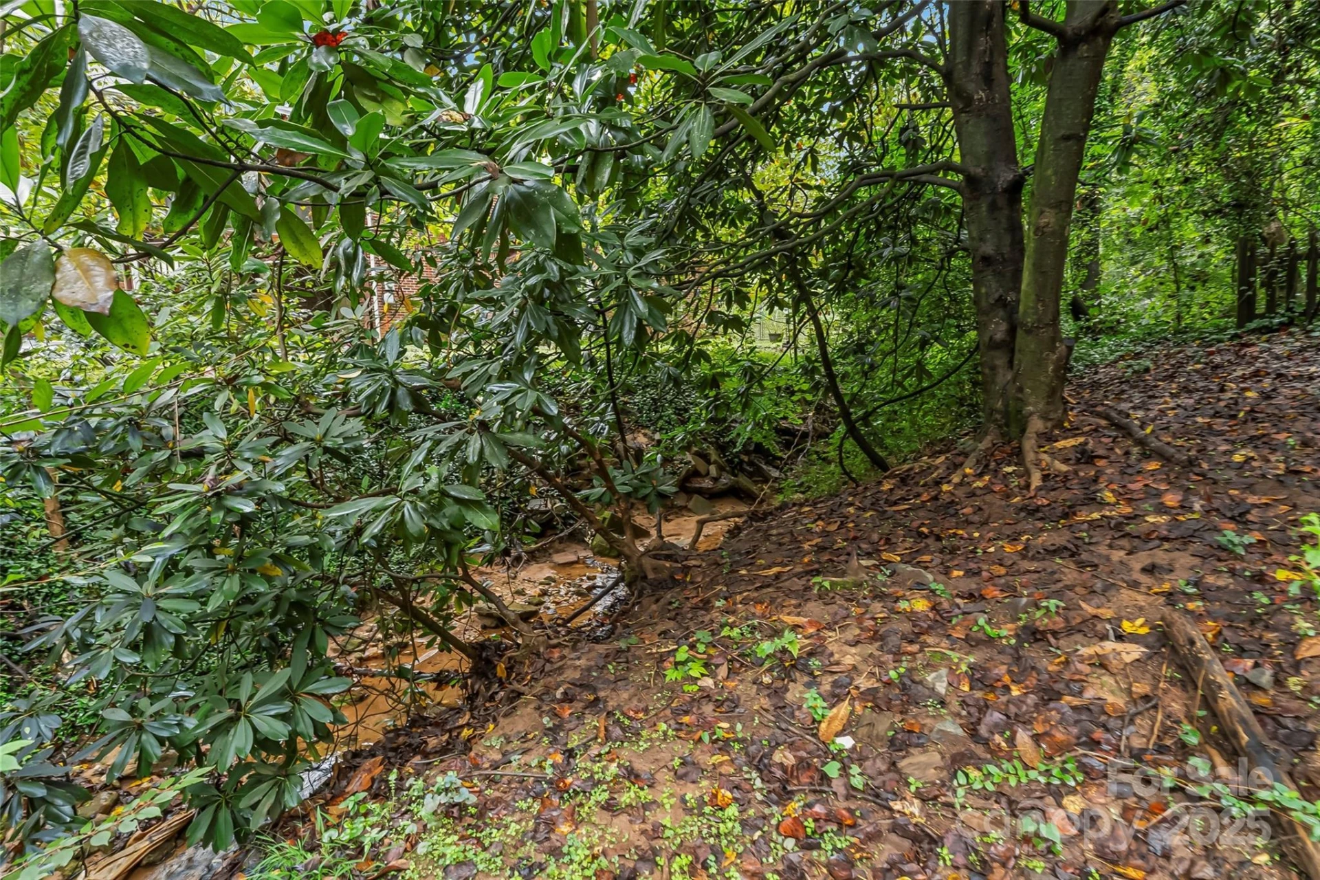 218 Davis Drive - Photo 19