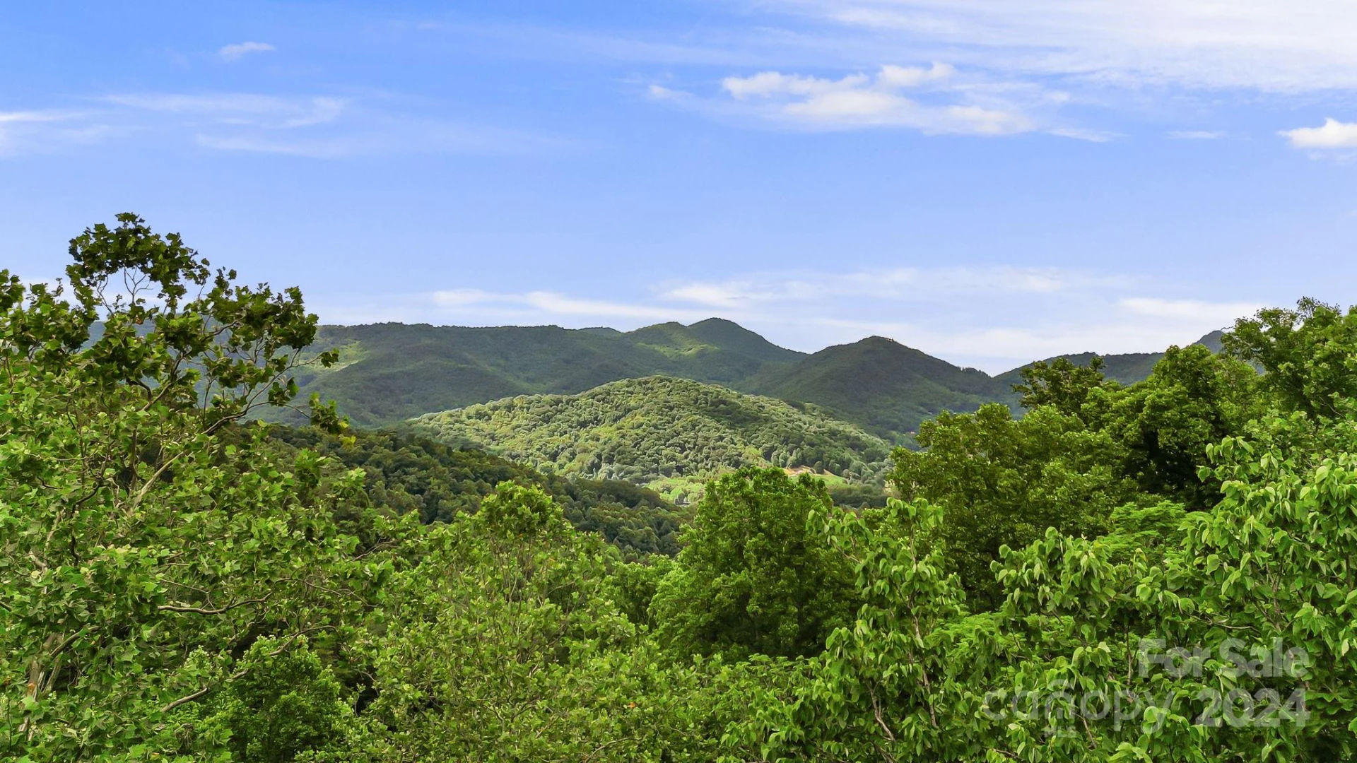 158 Sugar Cove Road - Photo 14