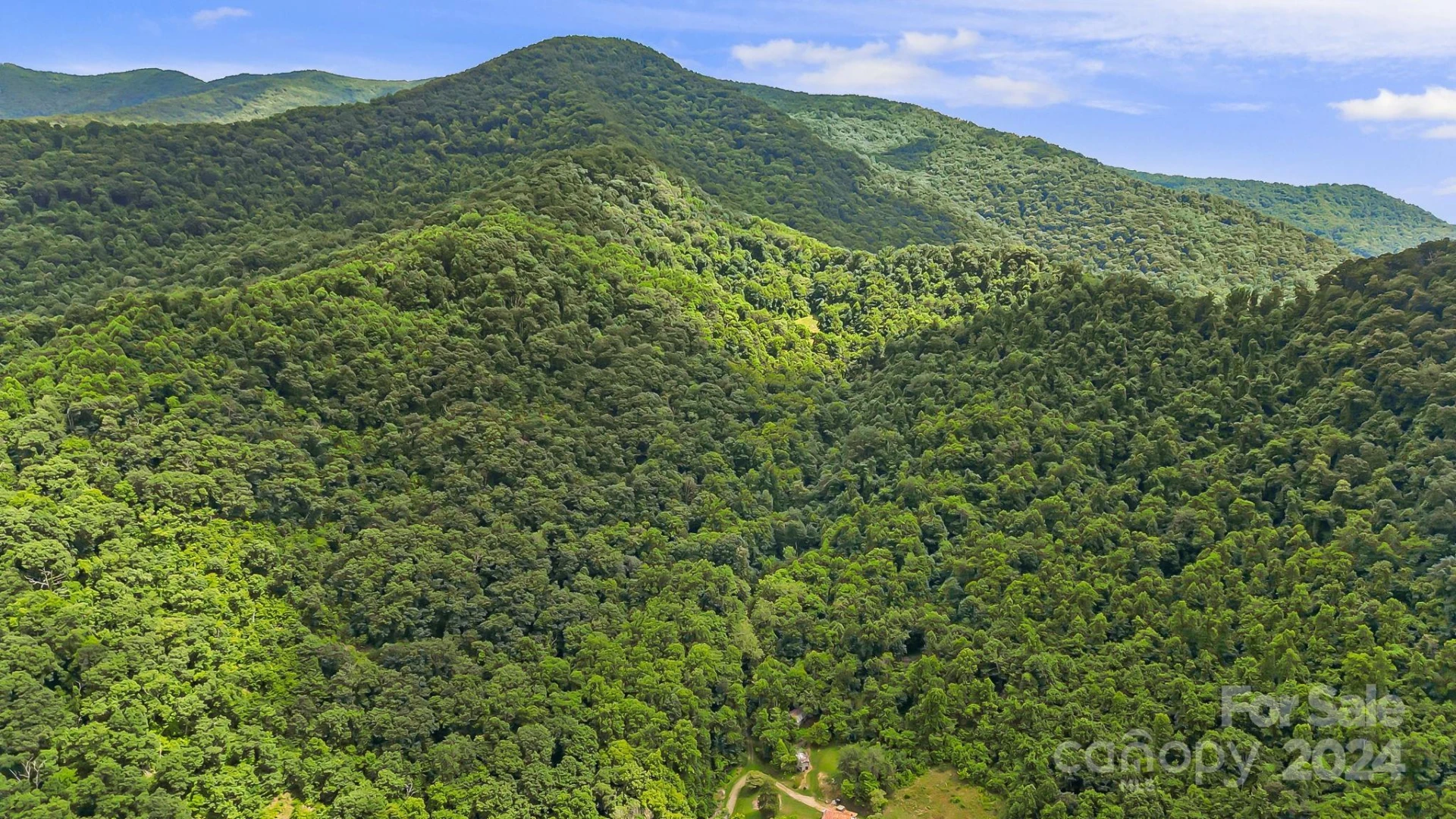 158 Sugar Cove Road - Photo 16