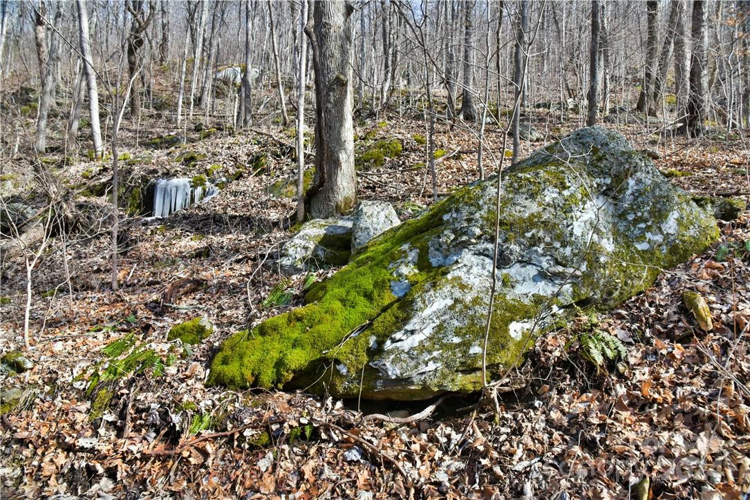 158 Sugar Cove Road - Photo 23