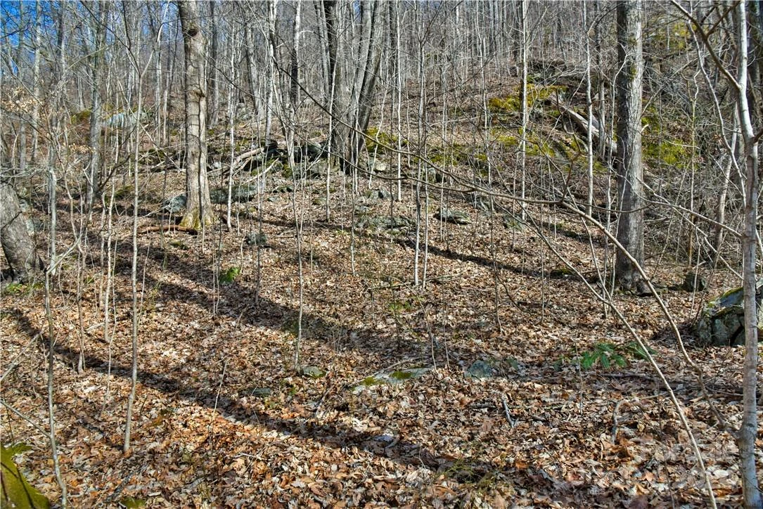 158 Sugar Cove Road - Photo 24