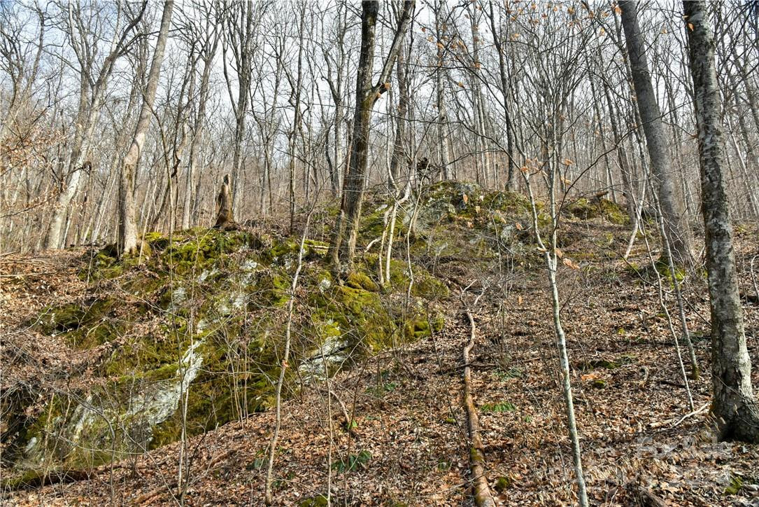 158 Sugar Cove Road - Photo 29