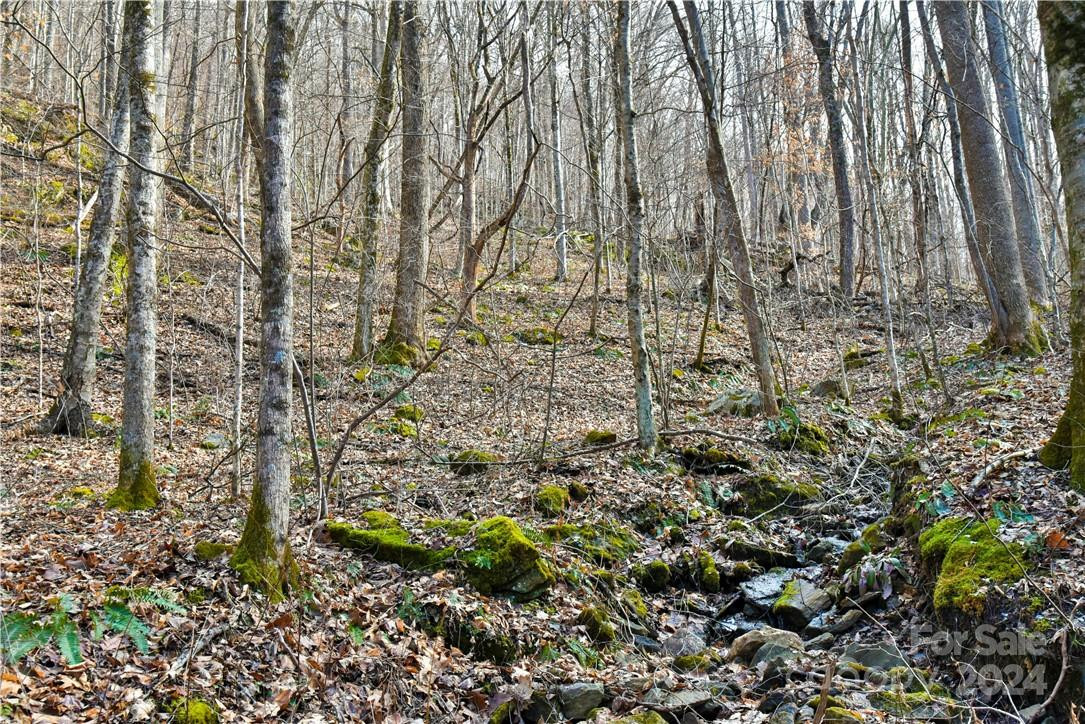 158 Sugar Cove Road - Photo 32