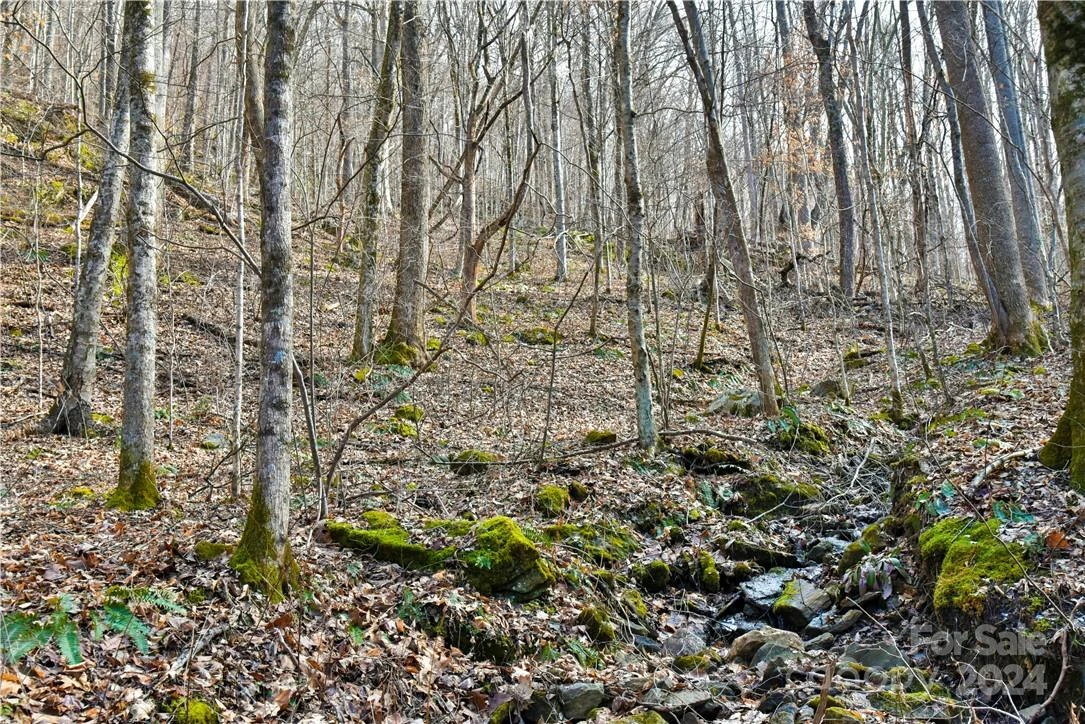158 Sugar Cove Road - Photo 32