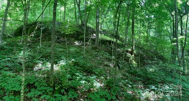 158 Sugar Cove Road - Photo 33