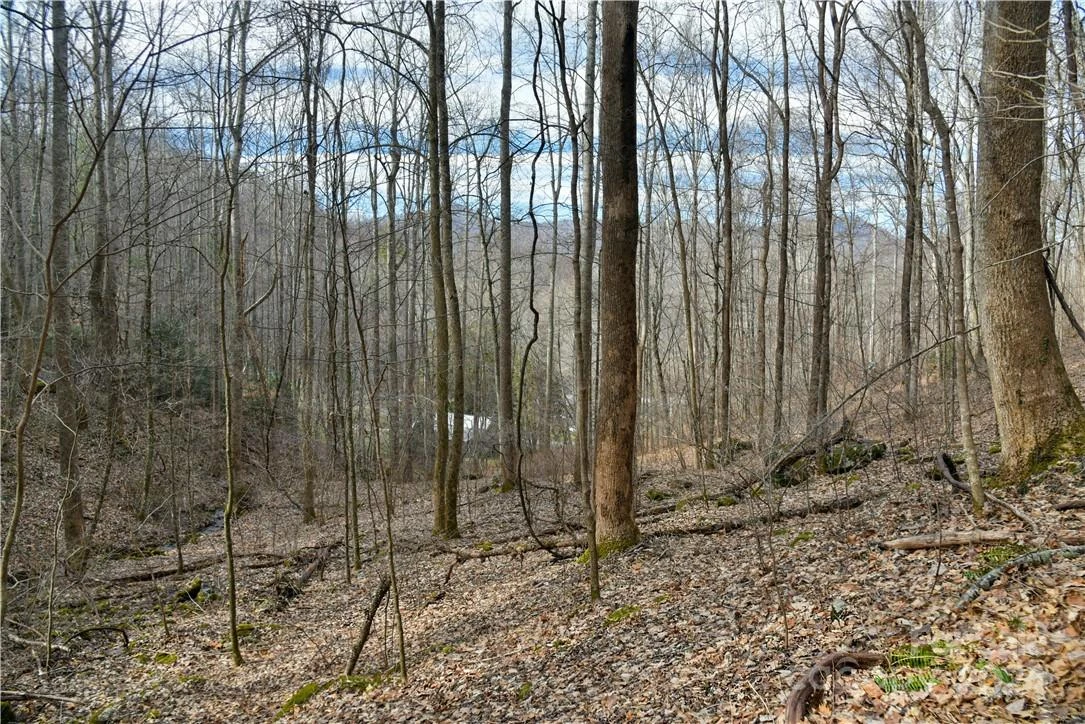 158 Sugar Cove Road - Photo 36