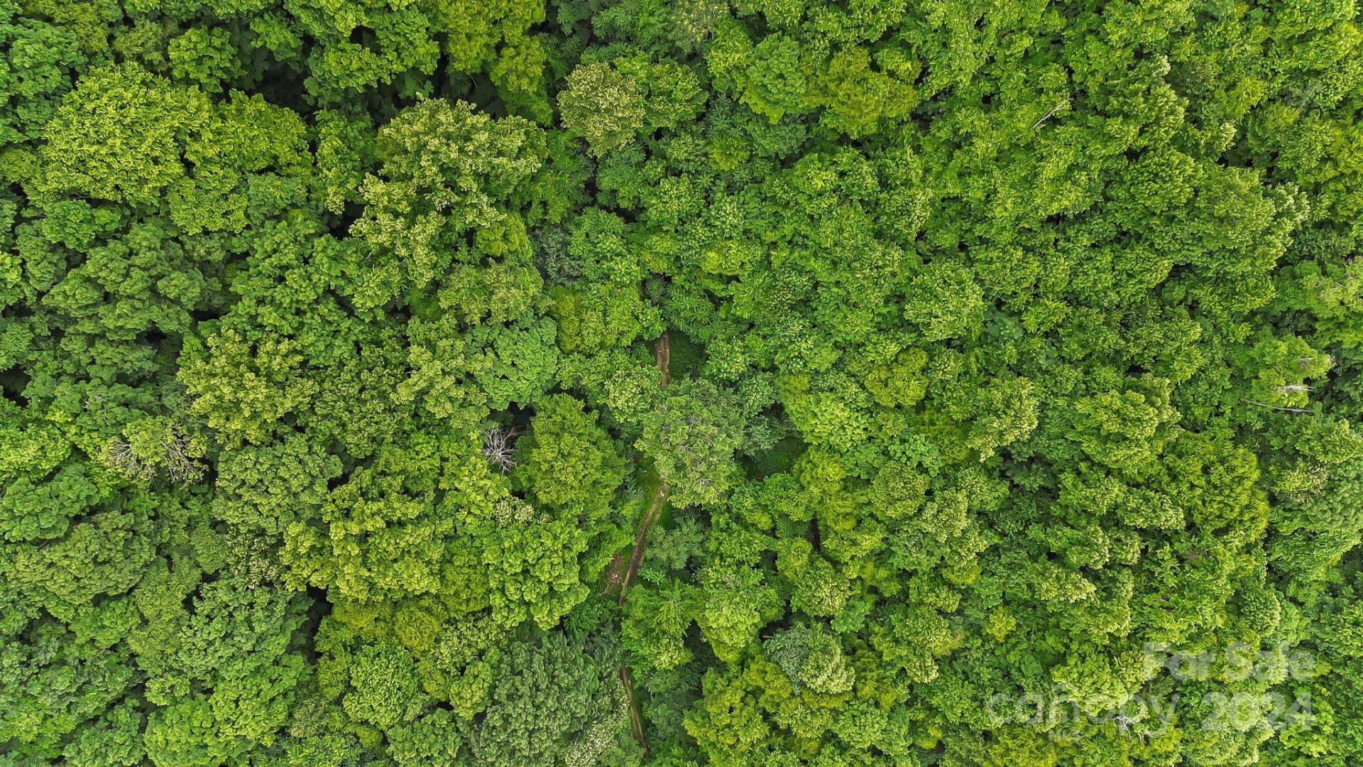 158 Sugar Cove Road - Photo 39