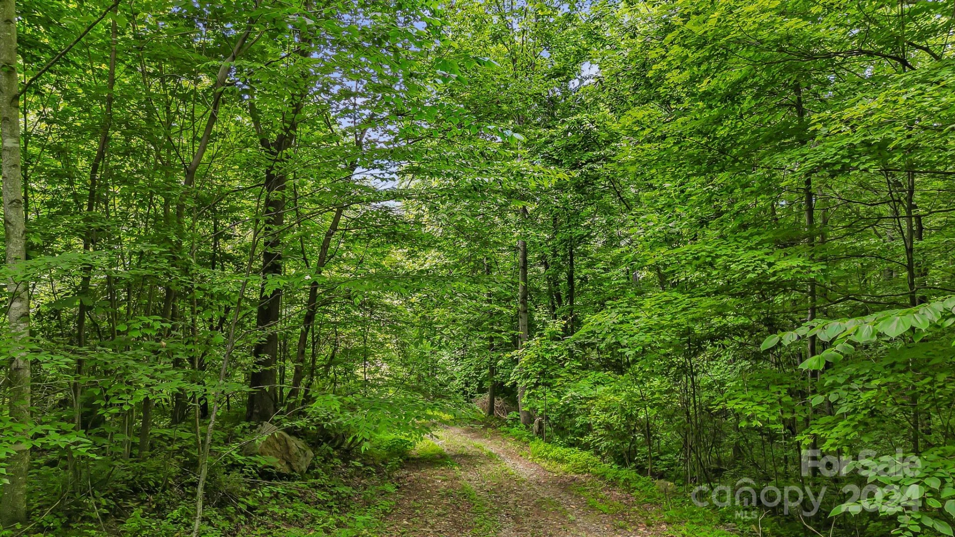158 Sugar Cove Road - Photo 40
