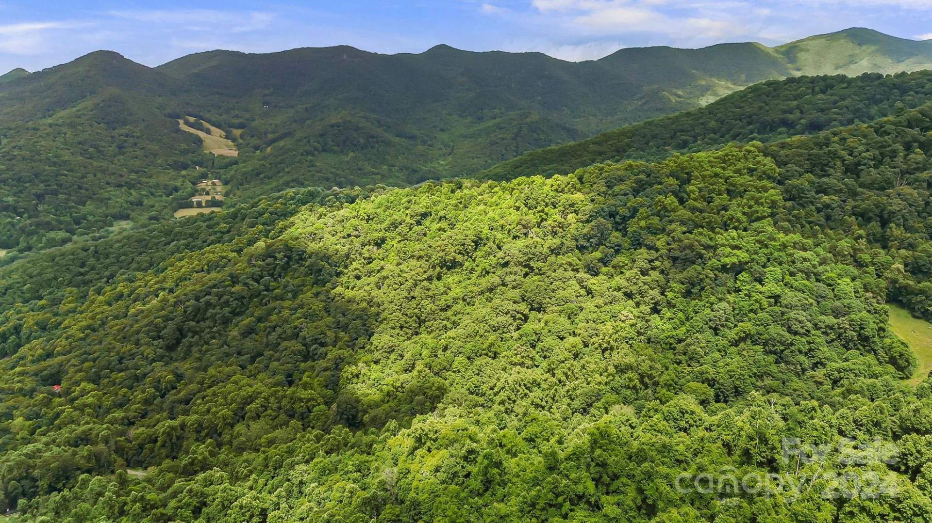 158 Sugar Cove Road - Photo 44