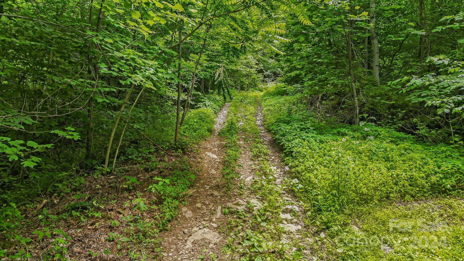 158 Sugar Cove Road - Photo 6