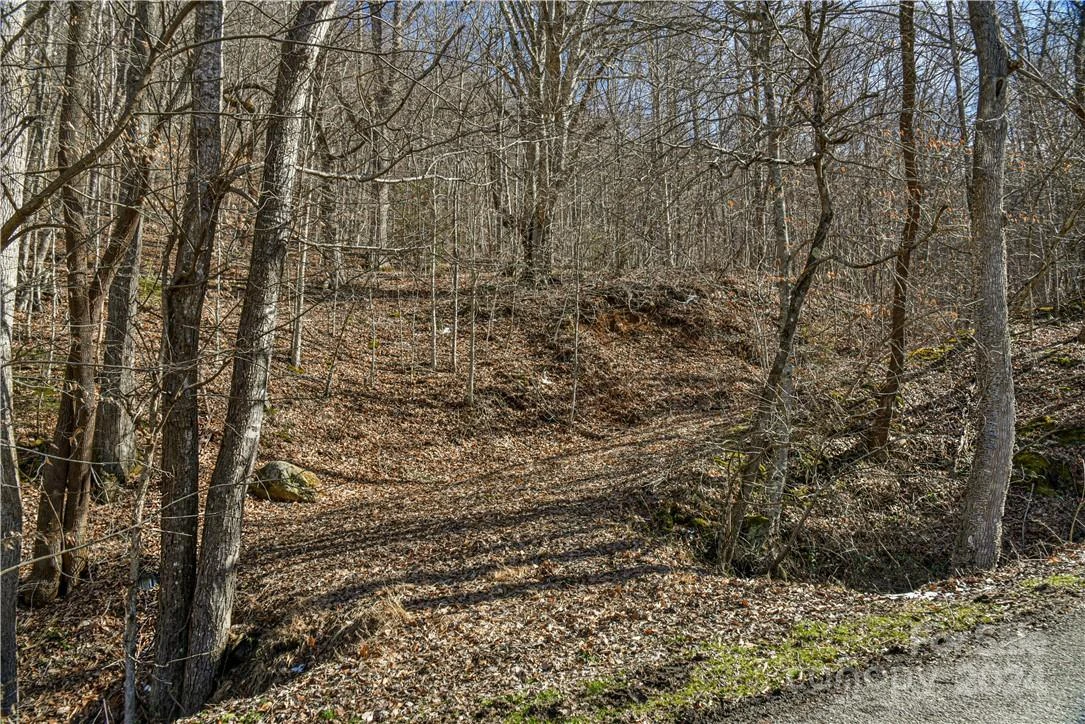 158 Sugar Cove Road - Photo 8