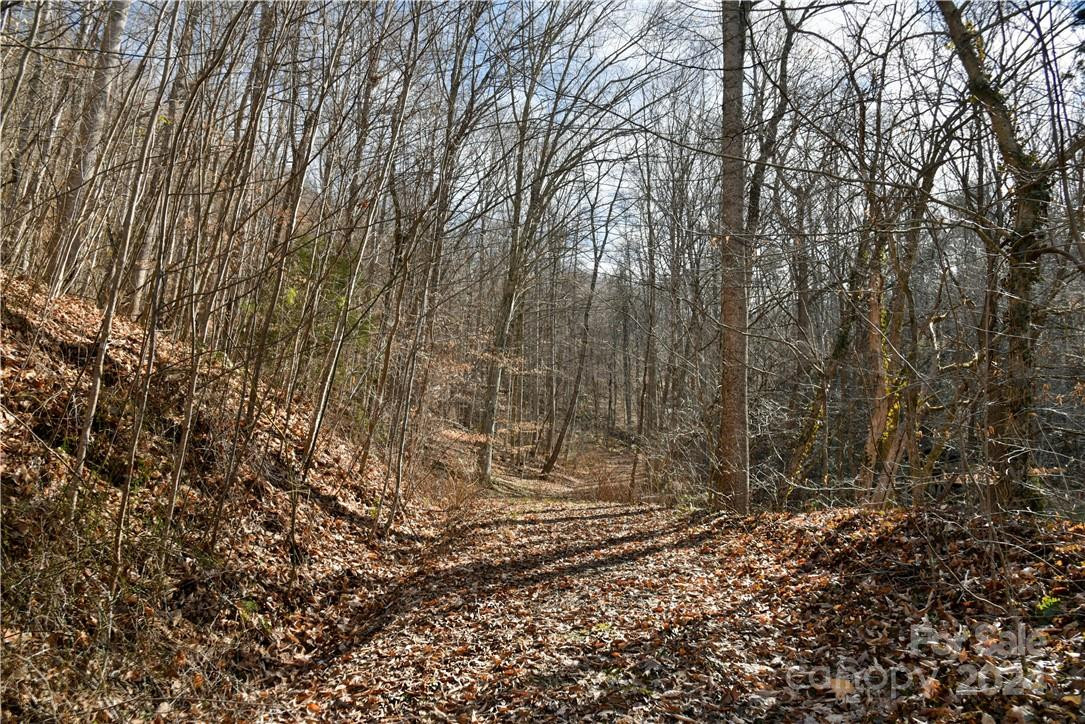 158 Sugar Cove Road - Photo 9