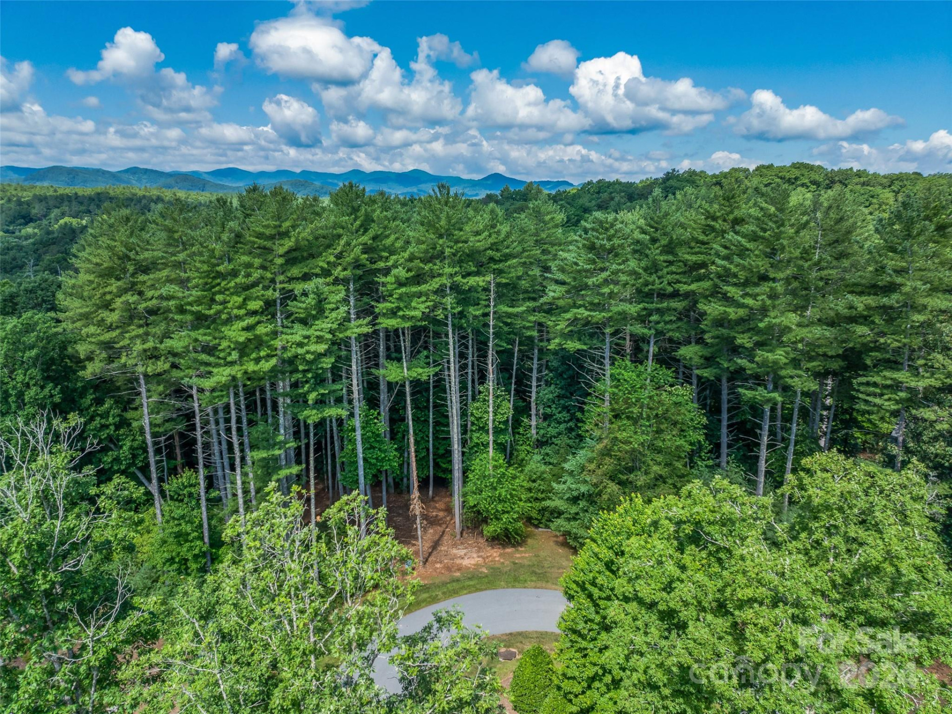 128 Mirehouse Run #144 - Photo 14