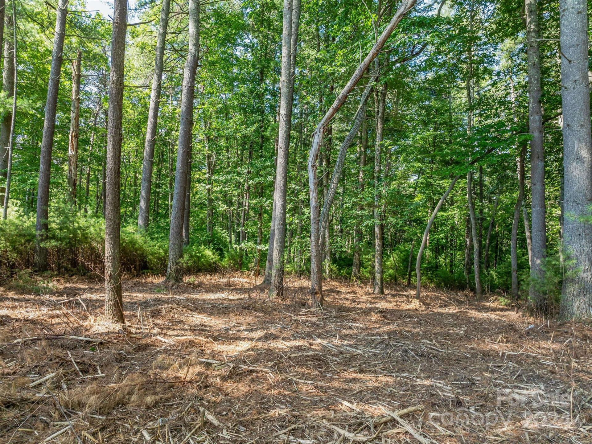 128 Mirehouse Run #144 - Photo 16