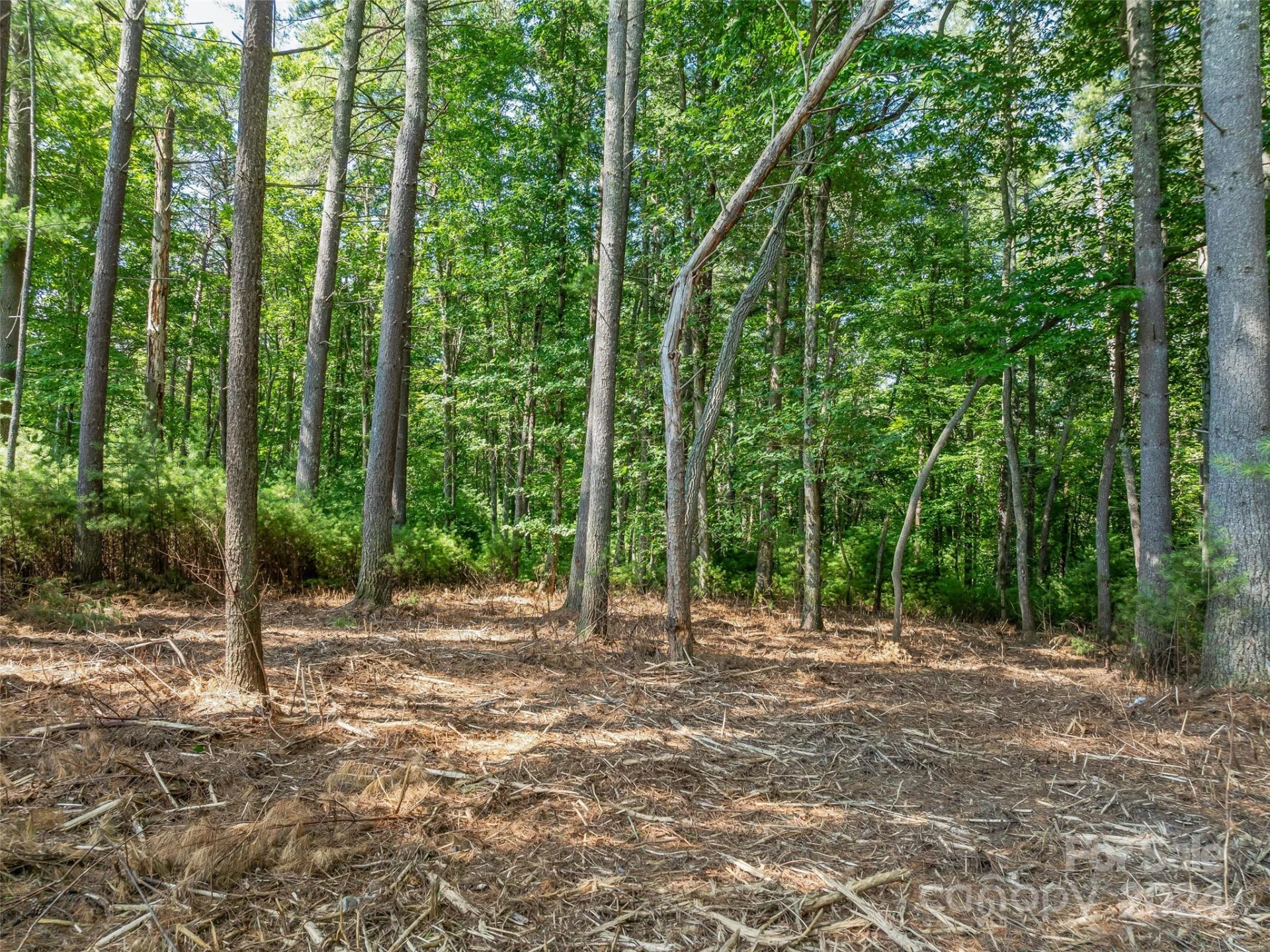128 Mirehouse Run #144 - Photo 16