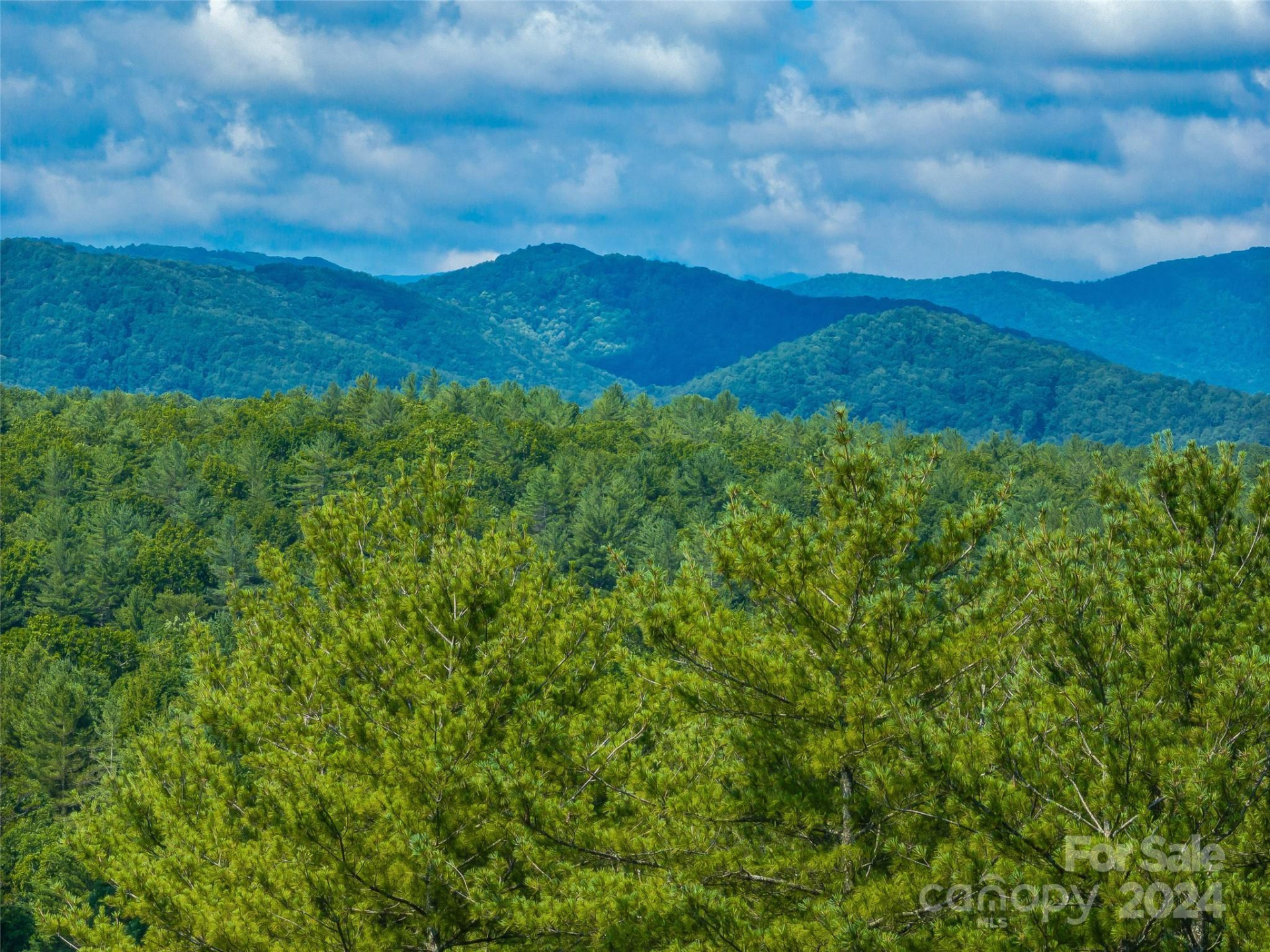 128 Mirehouse Run #144 - Photo 19