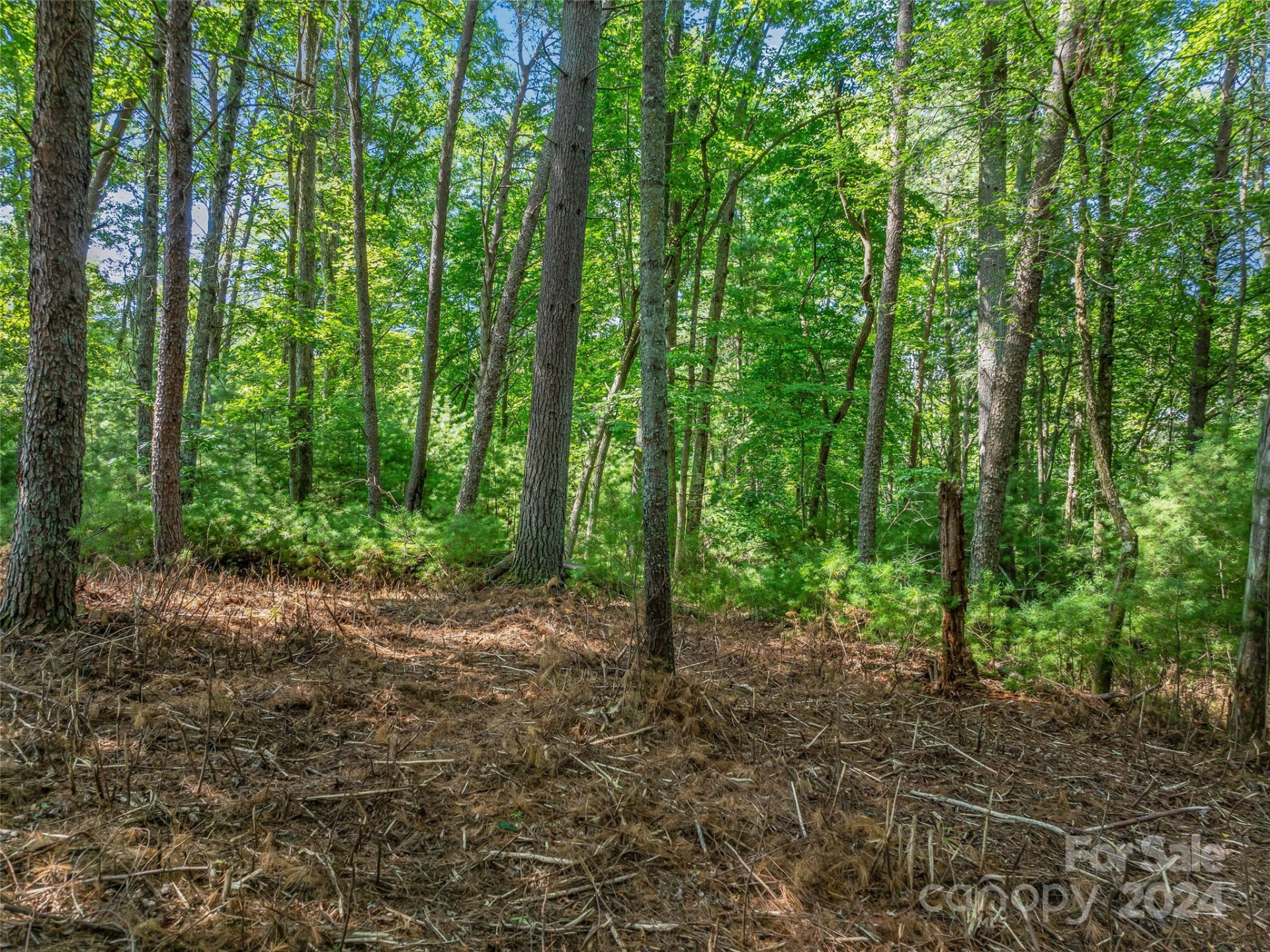 128 Mirehouse Run #144 - Photo 20