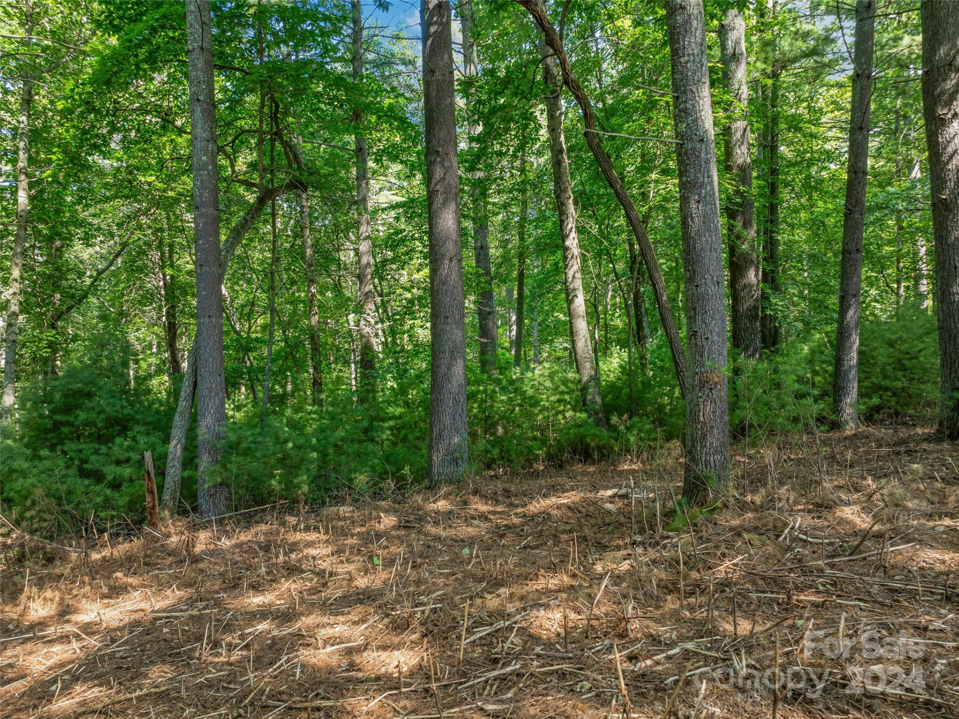 128 Mirehouse Run #144 - Photo 23