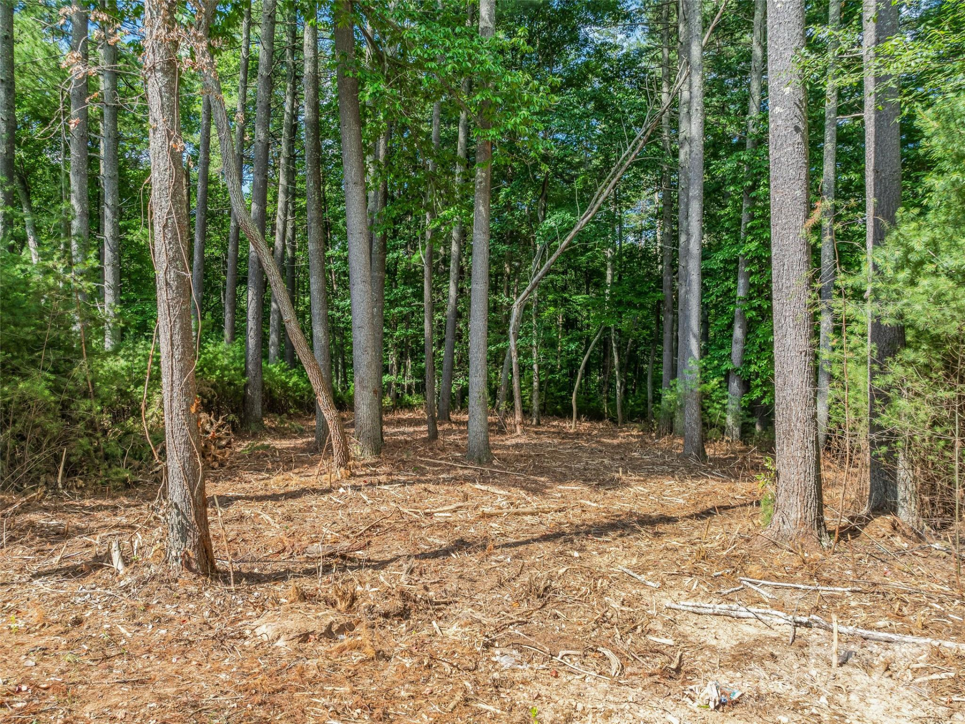 128 Mirehouse Run #144 - Photo 5