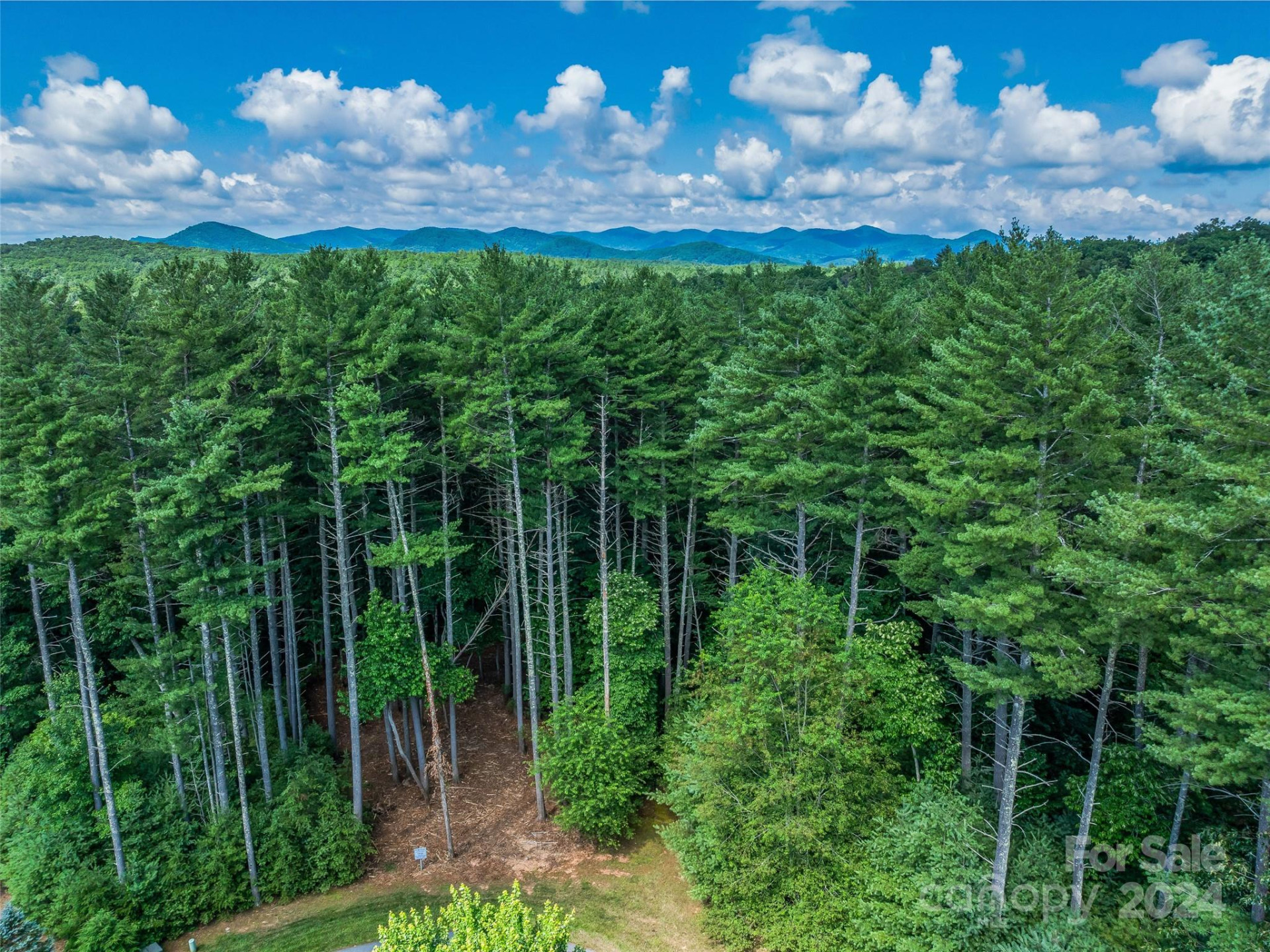 128 Mirehouse Run #144 - Photo 6