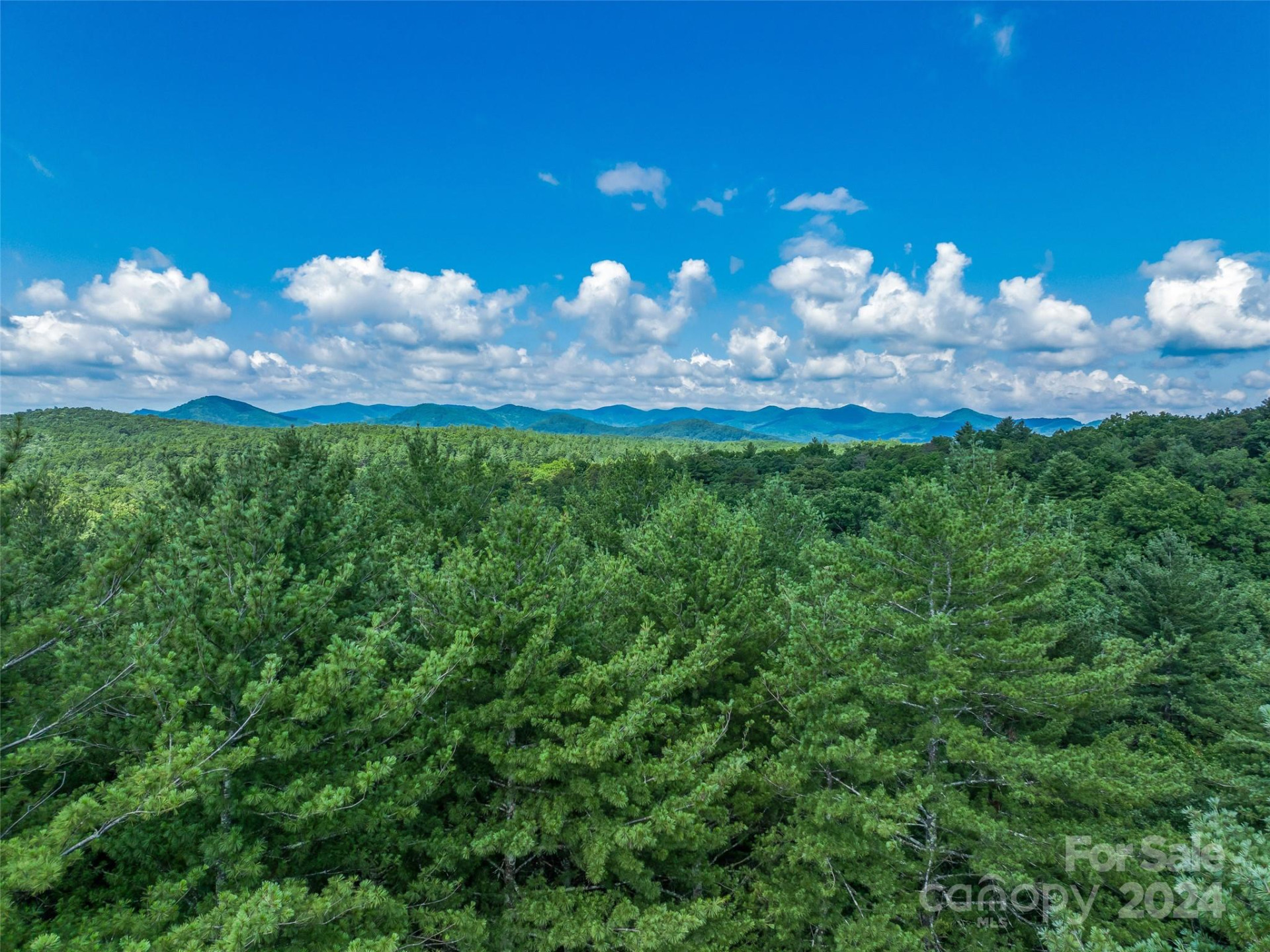 128 Mirehouse Run #144 - Photo 7