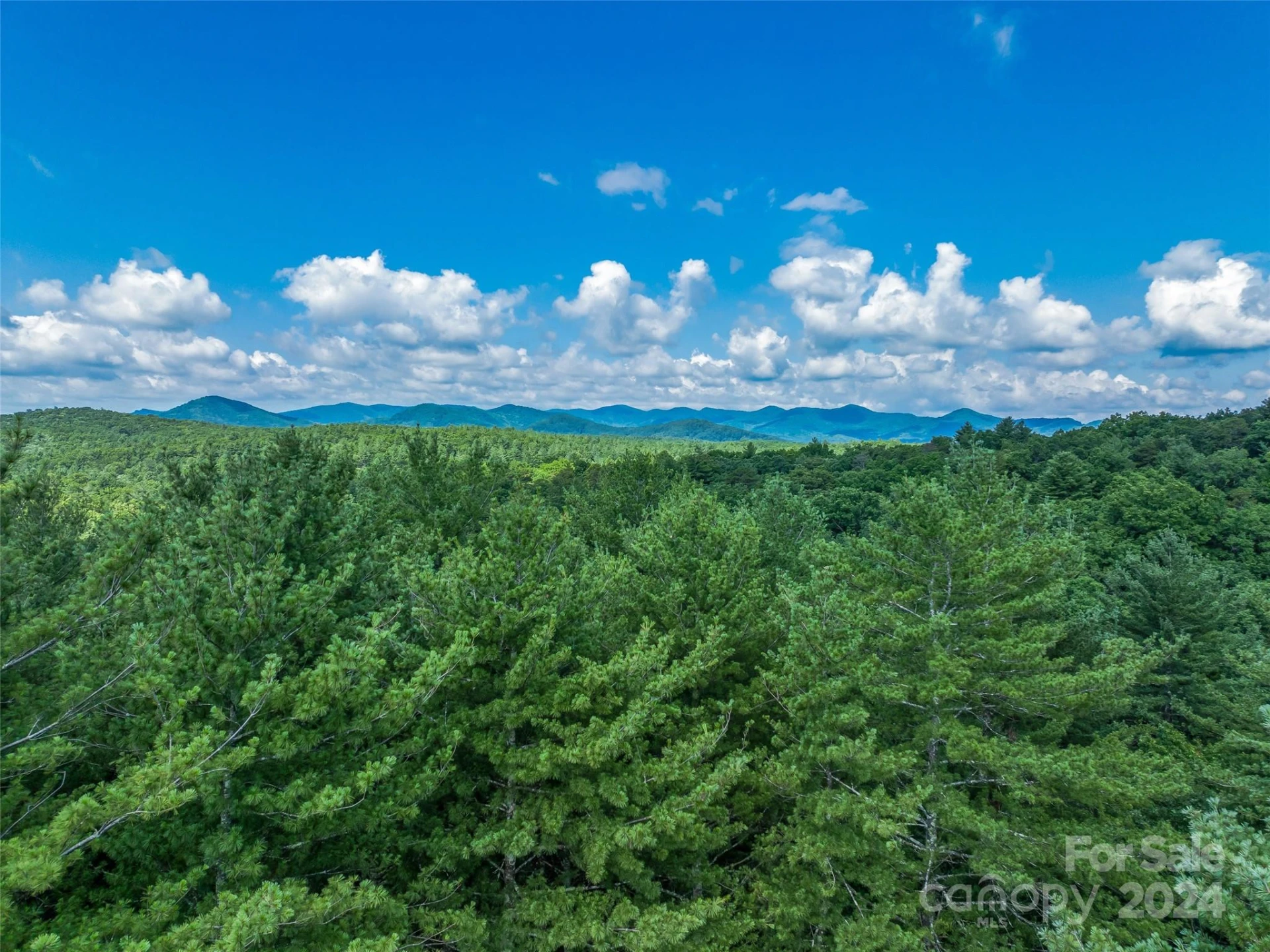 128 Mirehouse Run #144 - Photo 7