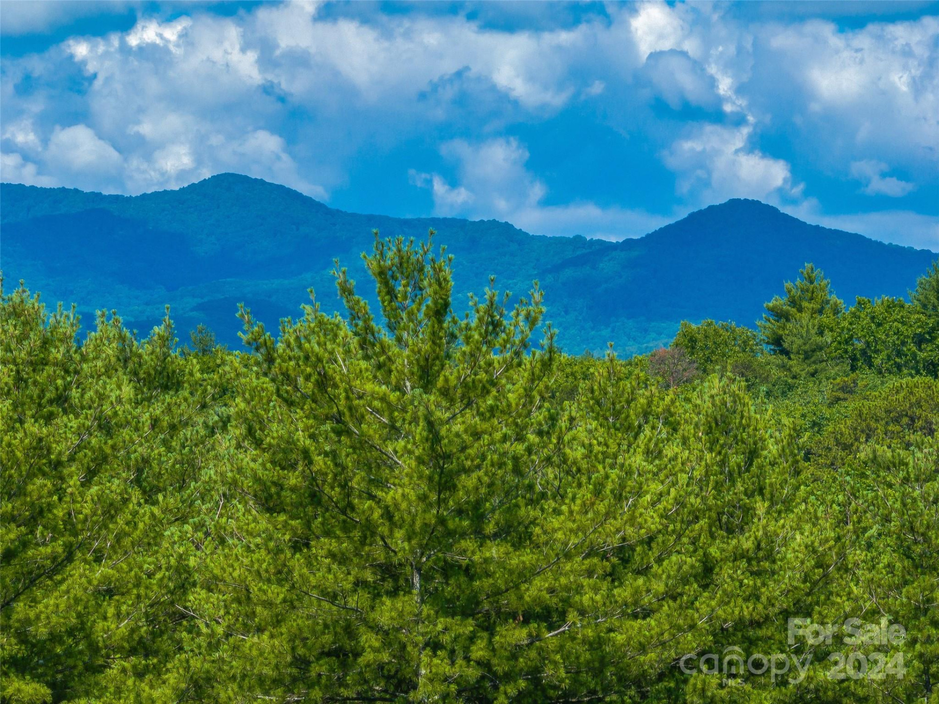 128 Mirehouse Run #144 - Photo 8