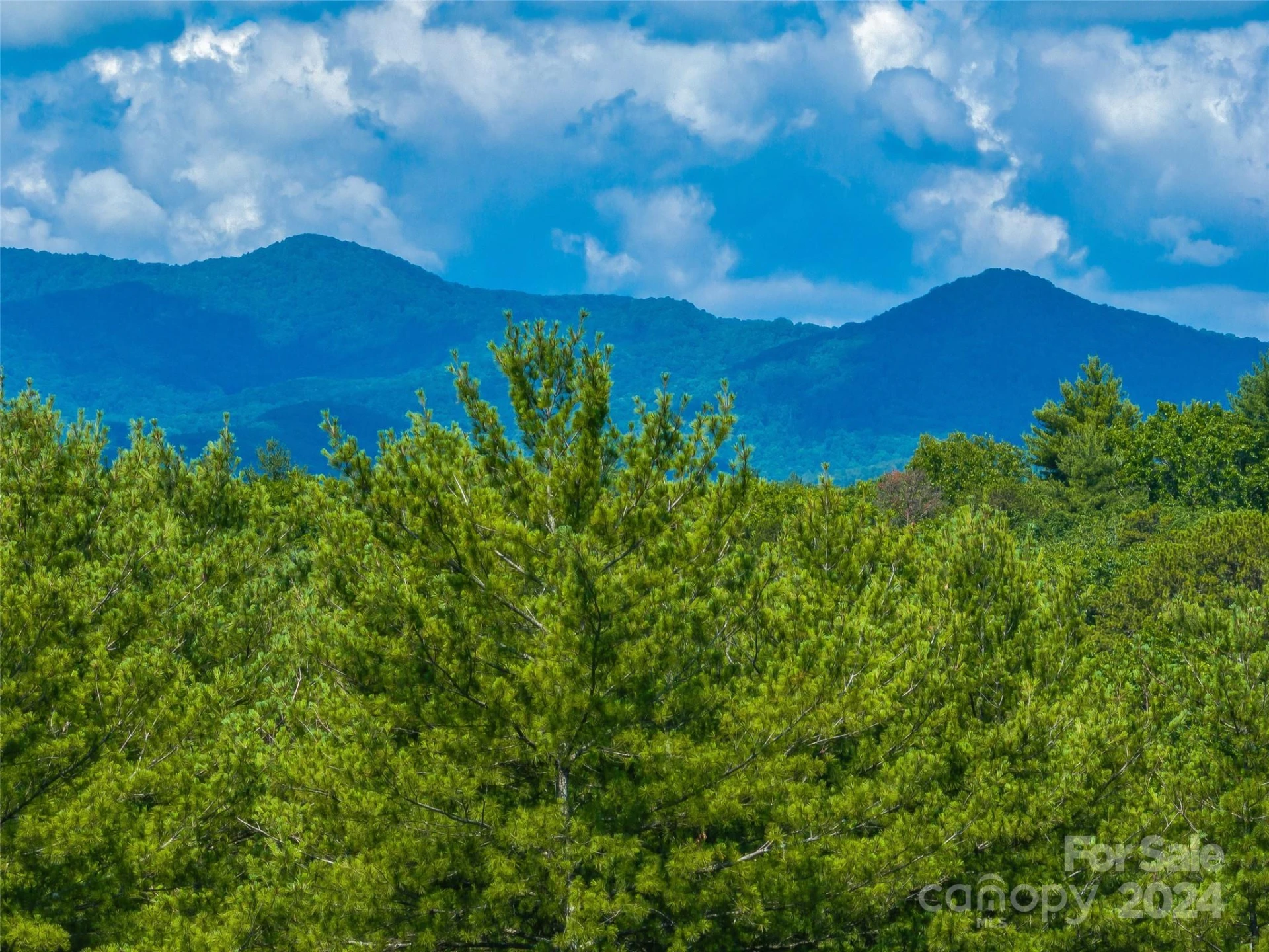 128 Mirehouse Run #144 - Photo 8