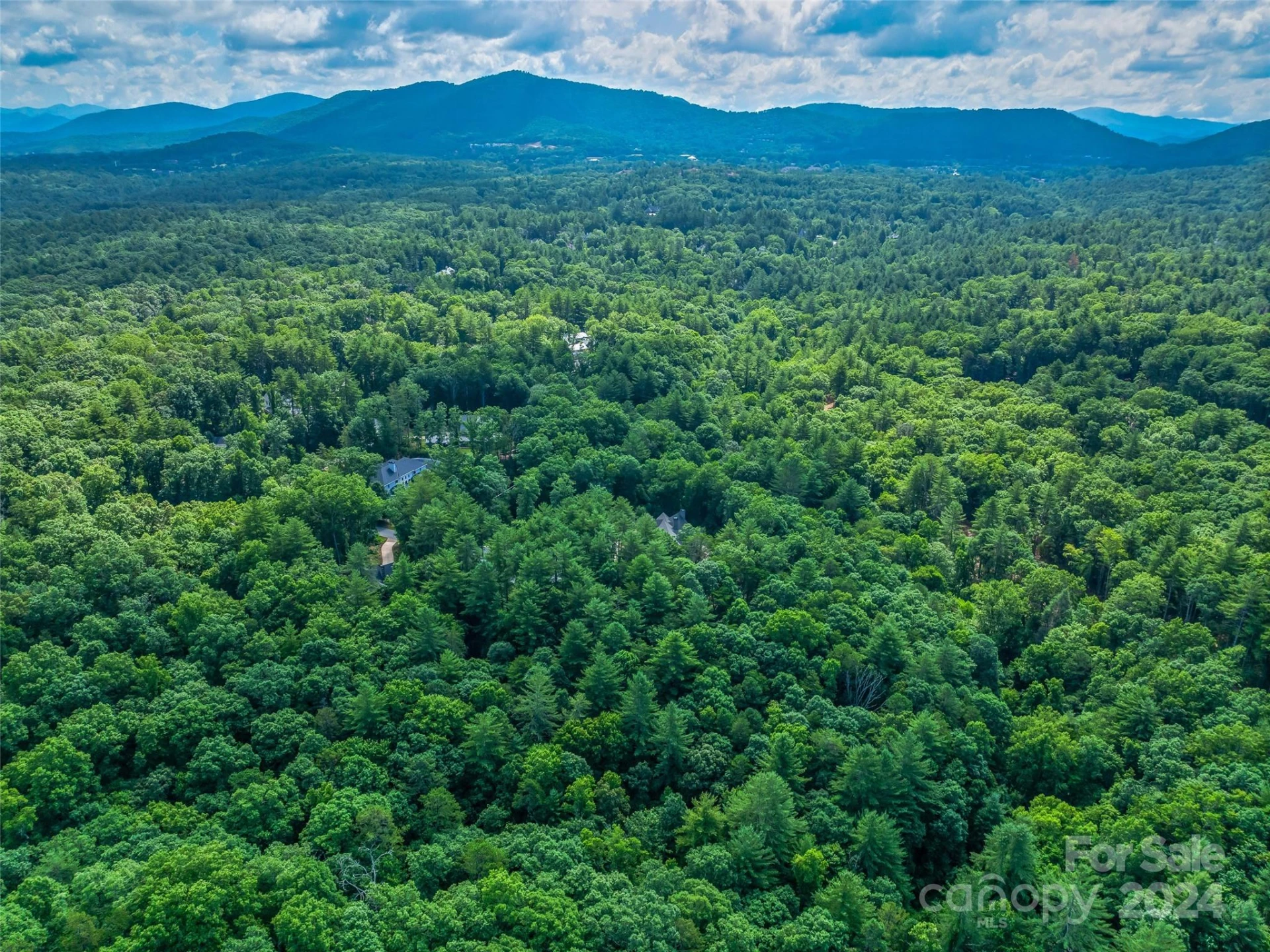 128 Mirehouse Run #144 - Photo 9