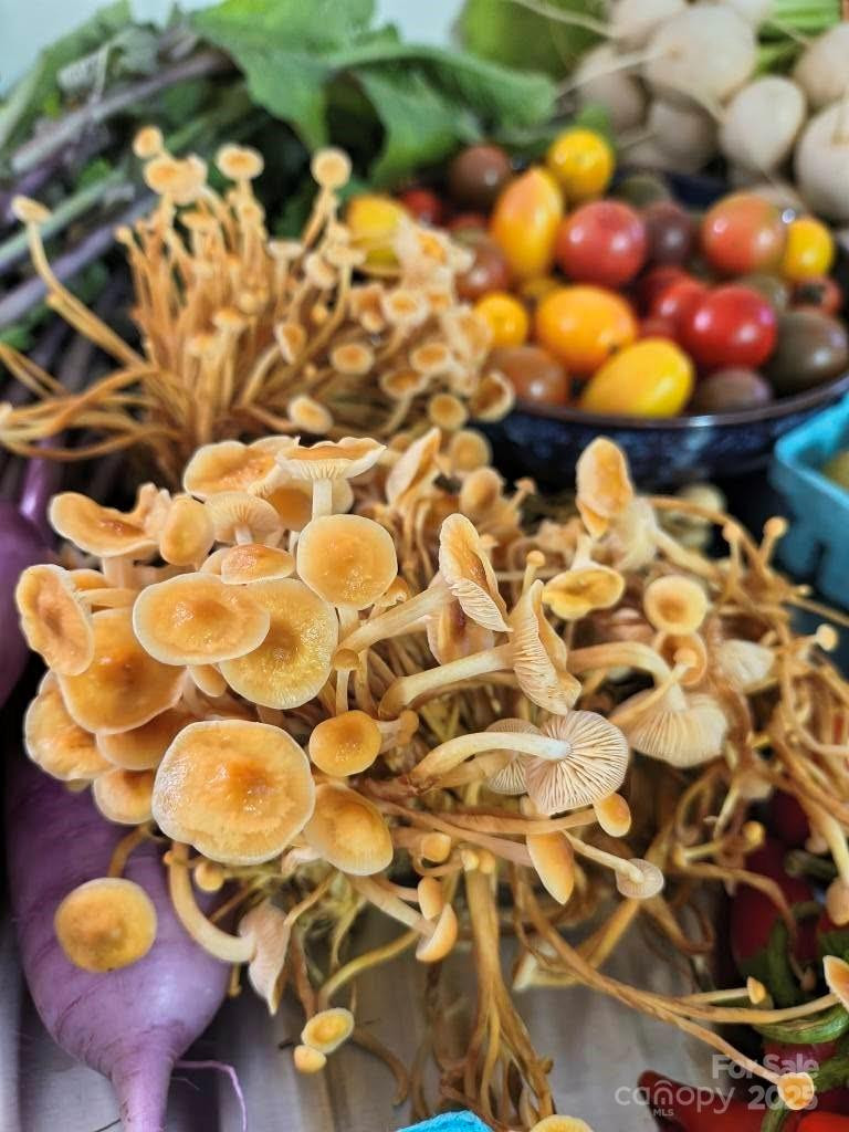 136 Dougherty Street - Photo 20