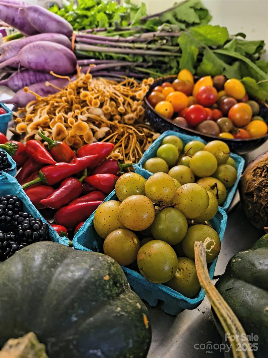 136 Dougherty Street - Photo 21