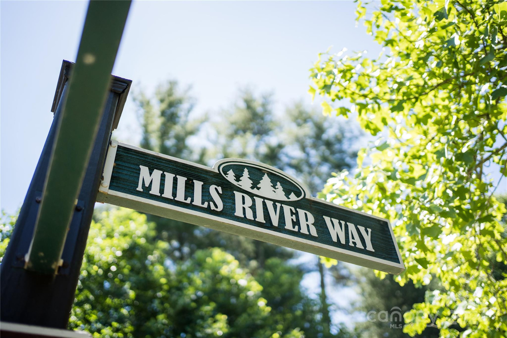 1018 Mills River Way - Photo 2