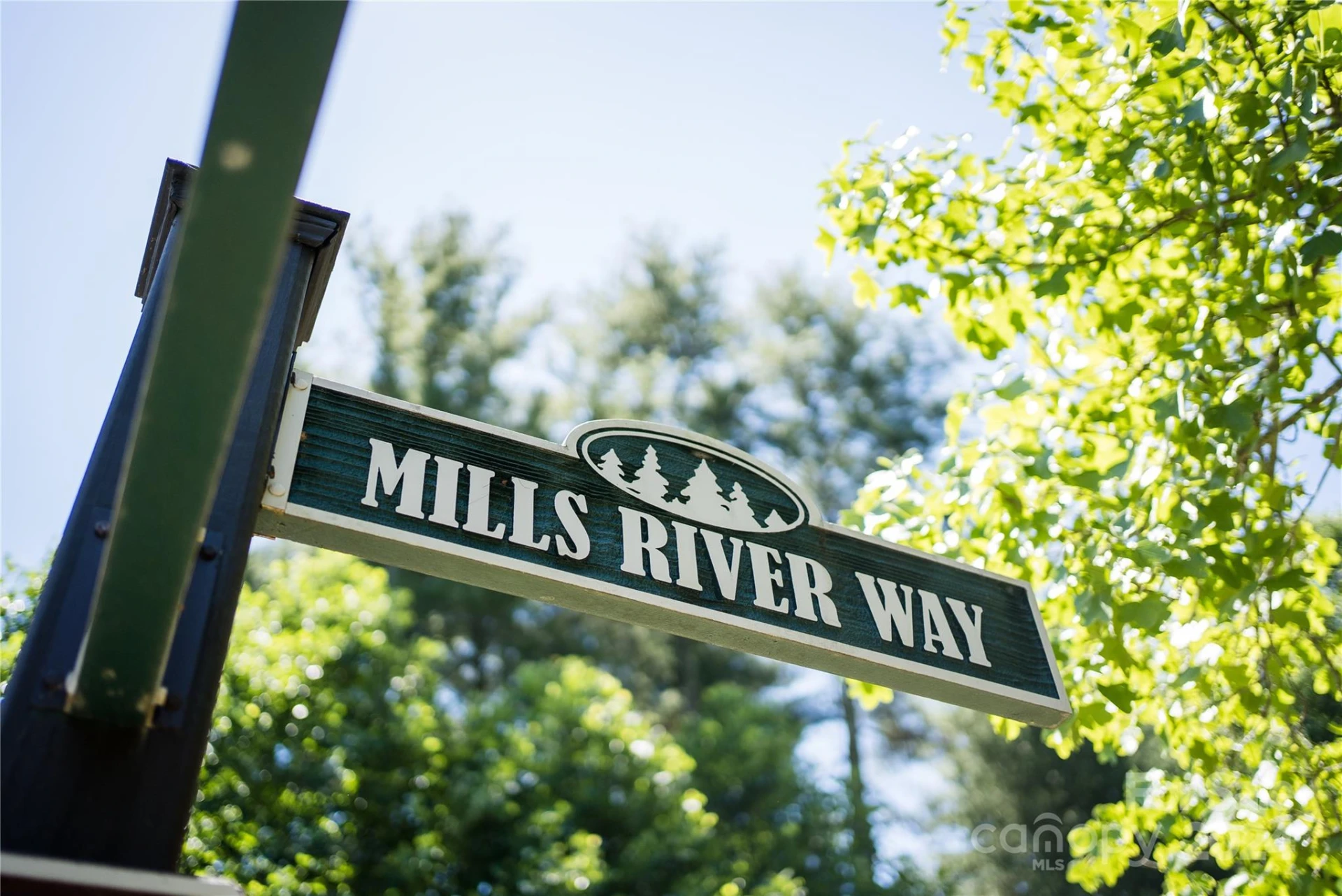 1018 Mills River Way - Photo 2