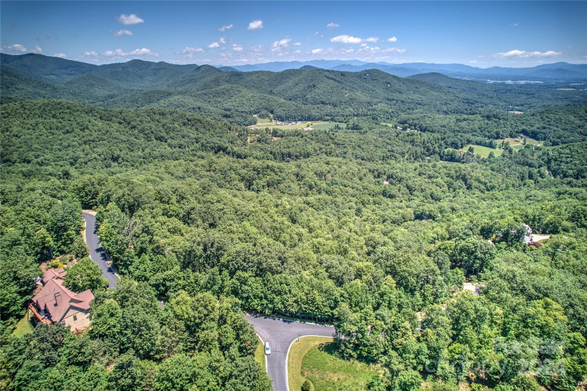 1018 Mills River Way - Photo 3