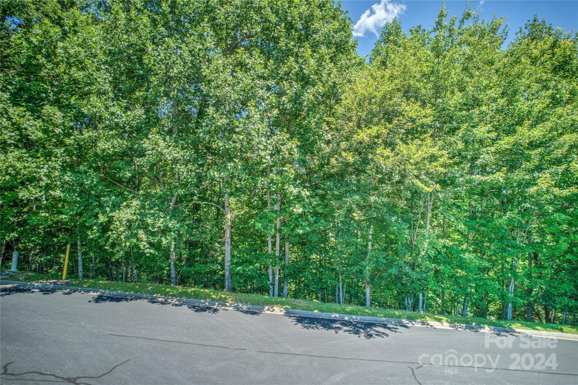 1018 Mills River Way - Photo 5