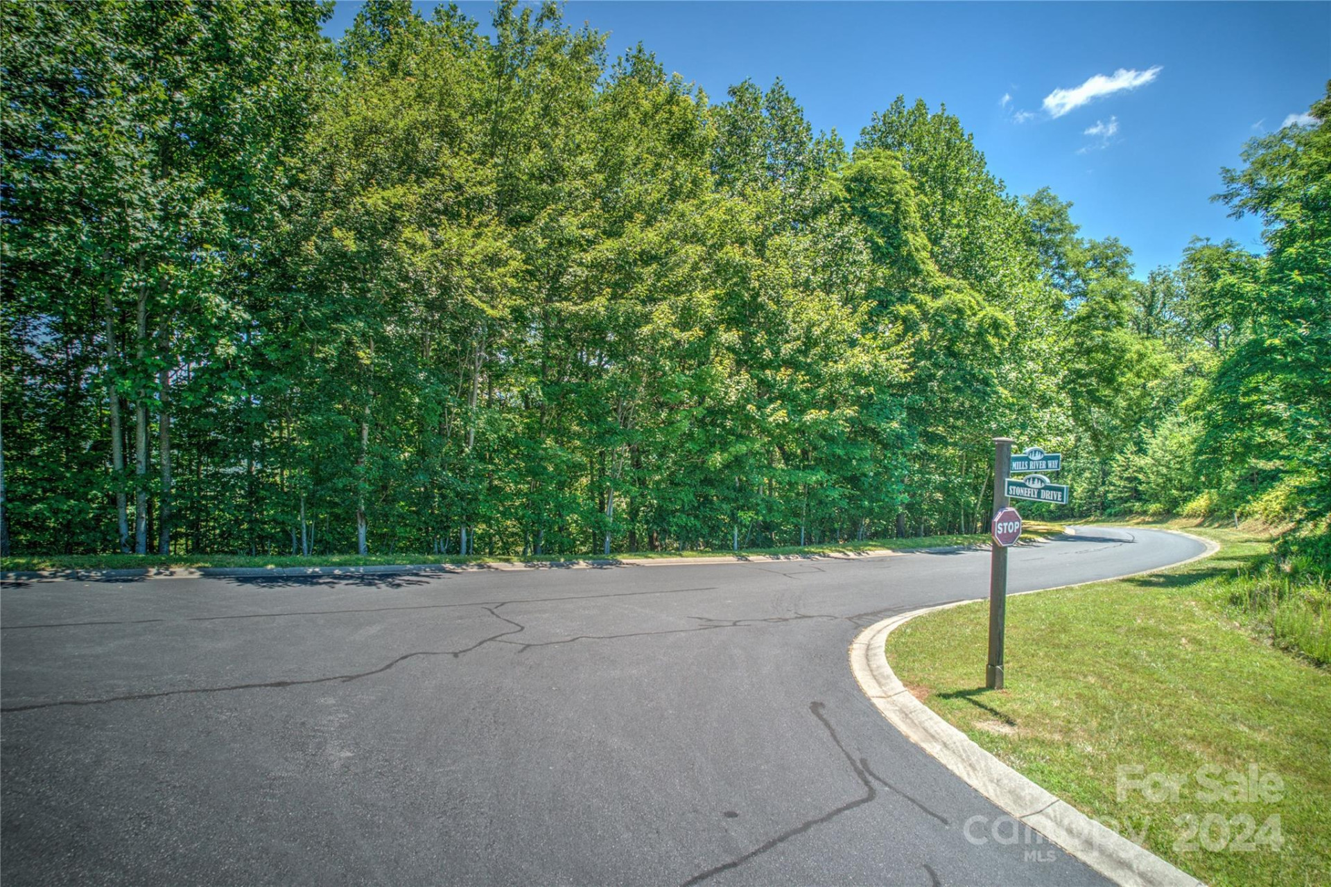 1018 Mills River Way - Photo 6