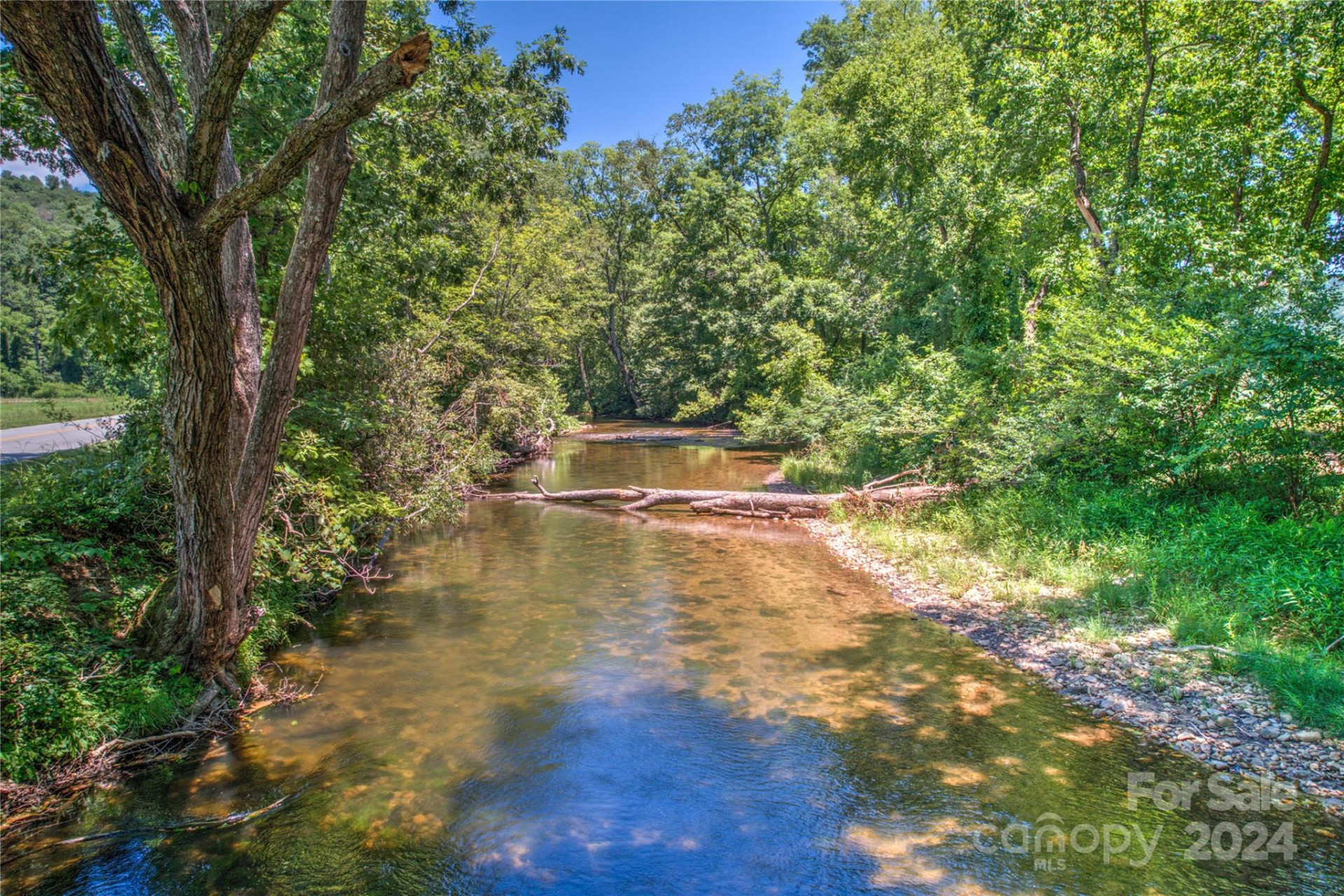 1018 Mills River Way - Photo 10