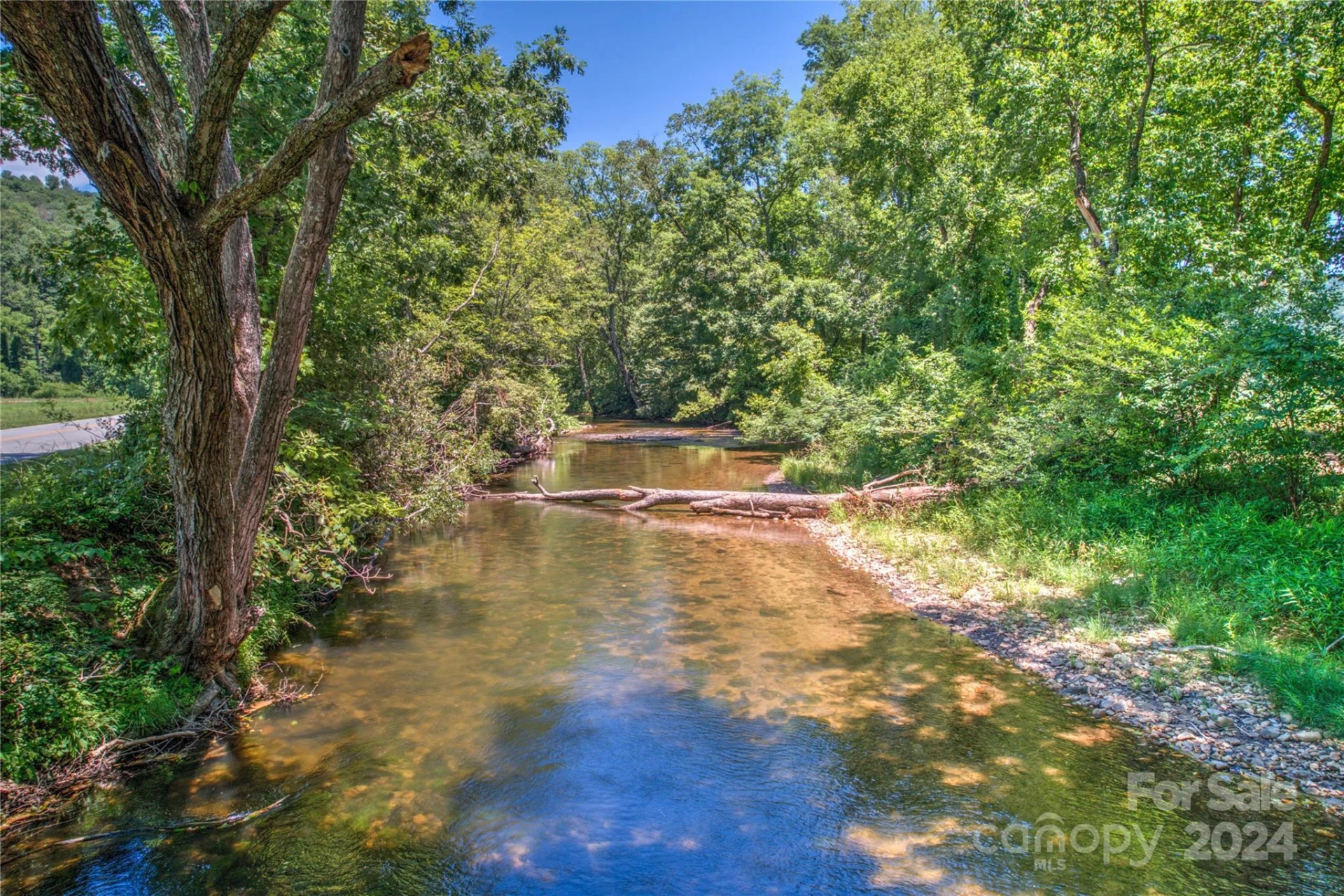 1018 Mills River Way - Photo 10