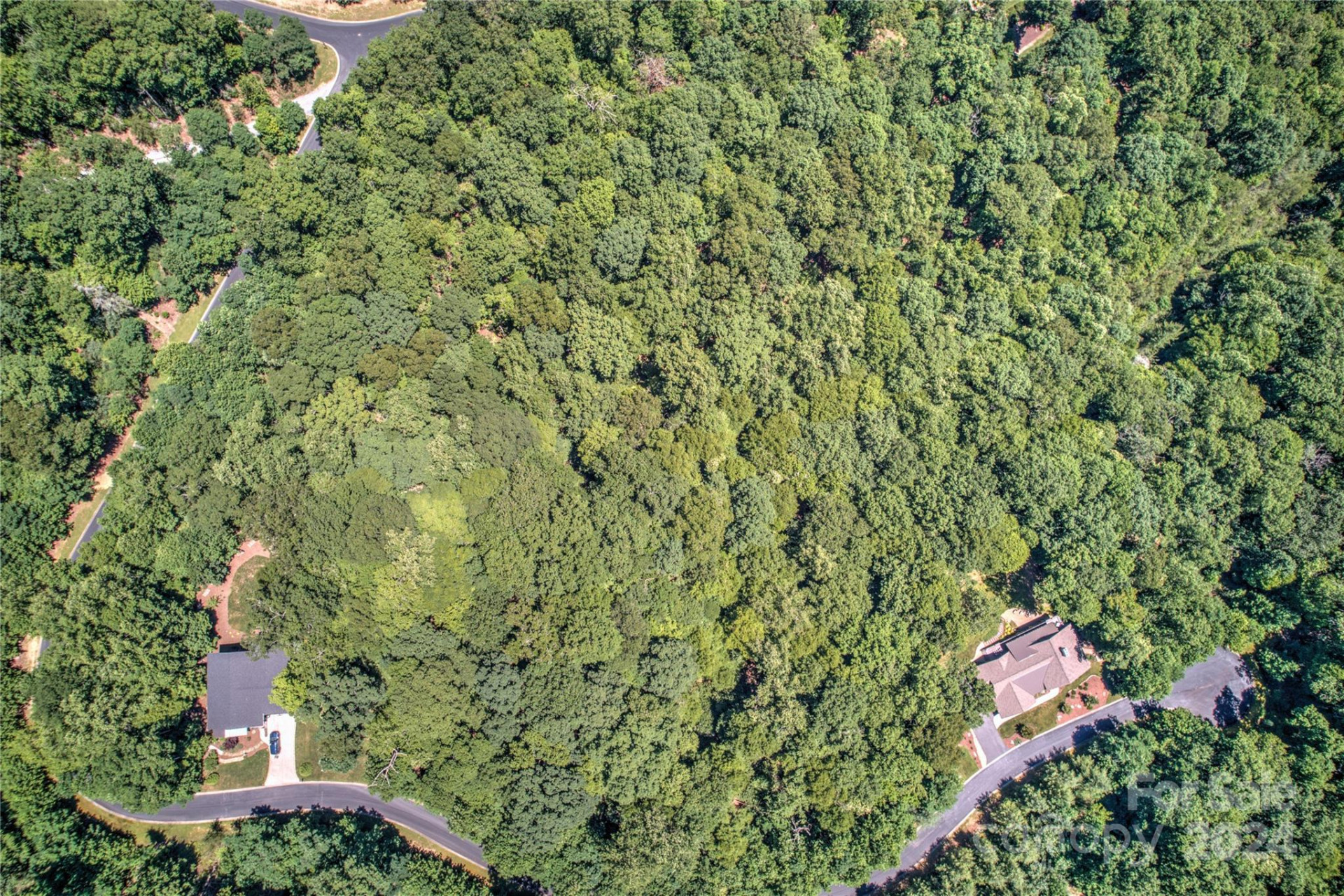 567 Shining Rock Path - Photo 13