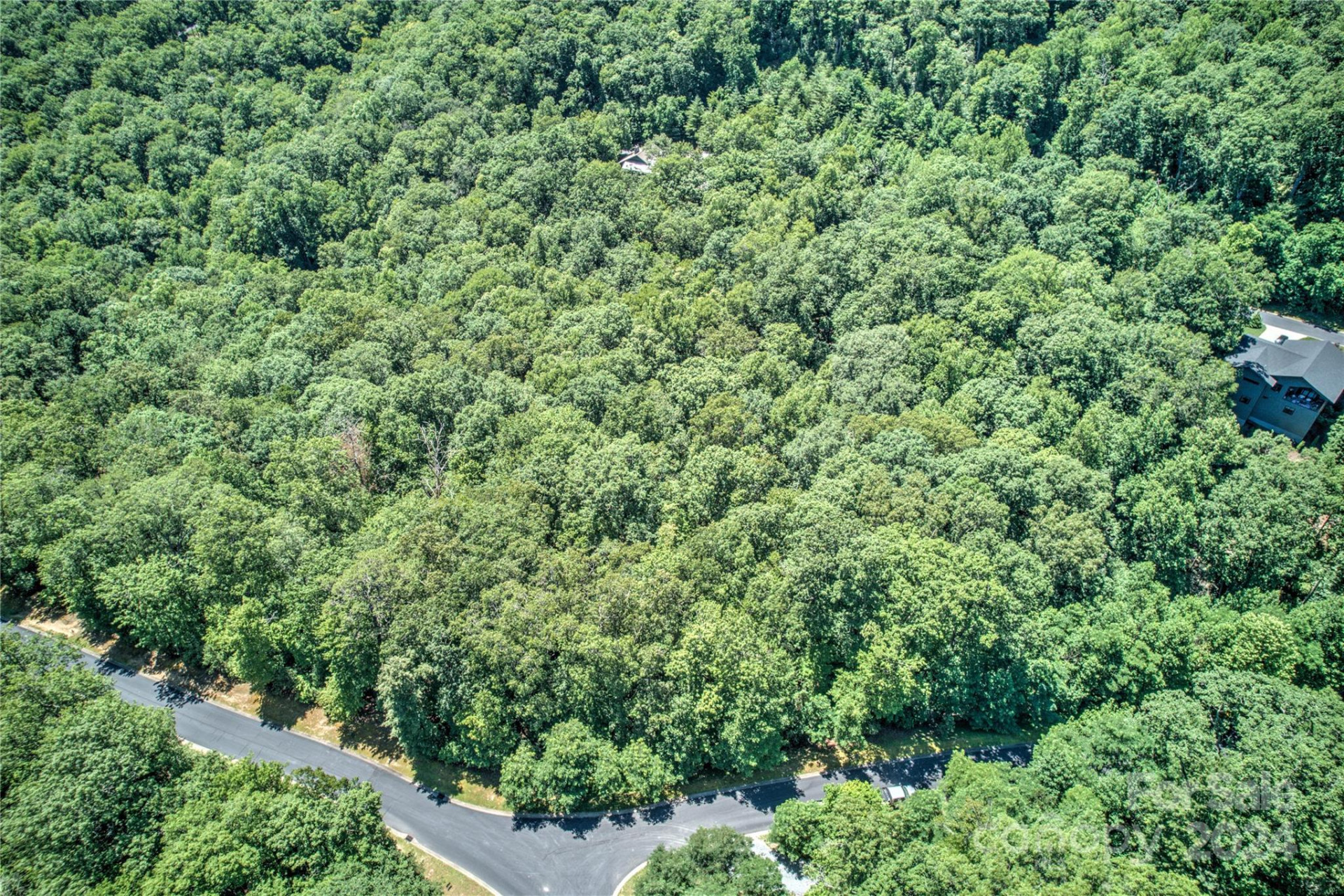 567 Shining Rock Path - Photo 3