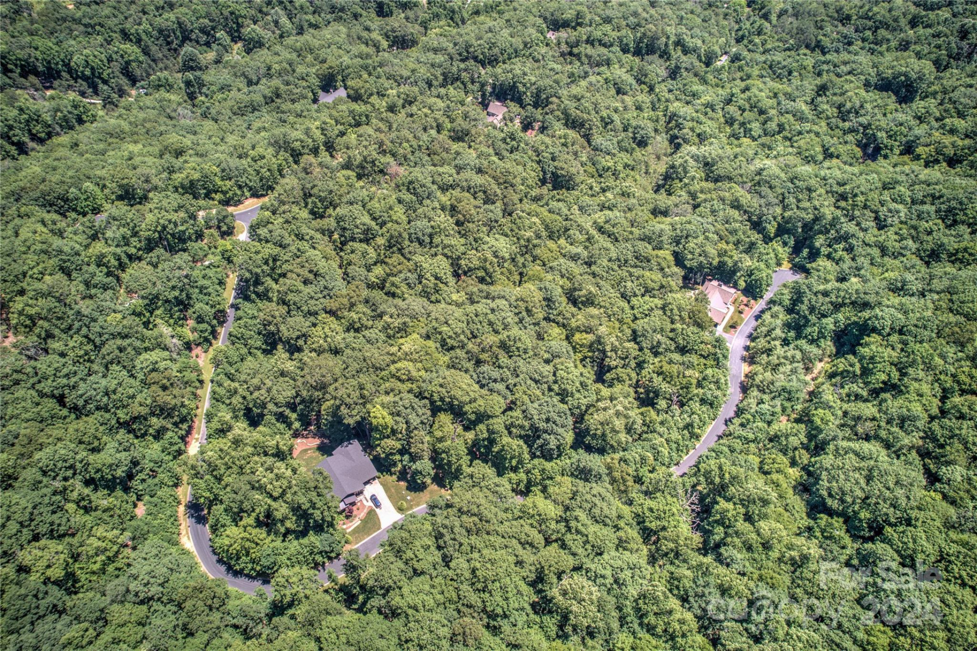 567 Shining Rock Path - Photo 7