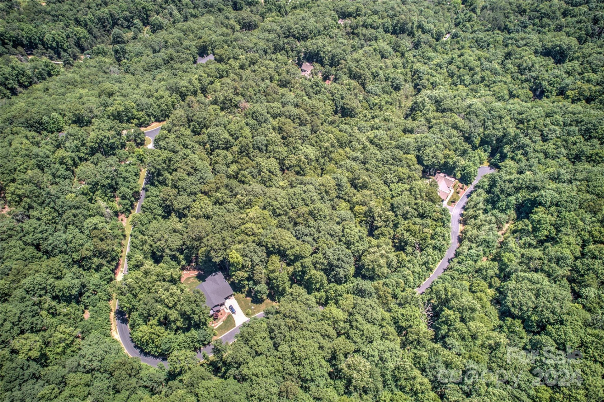 567 Shining Rock Path - Photo 7
