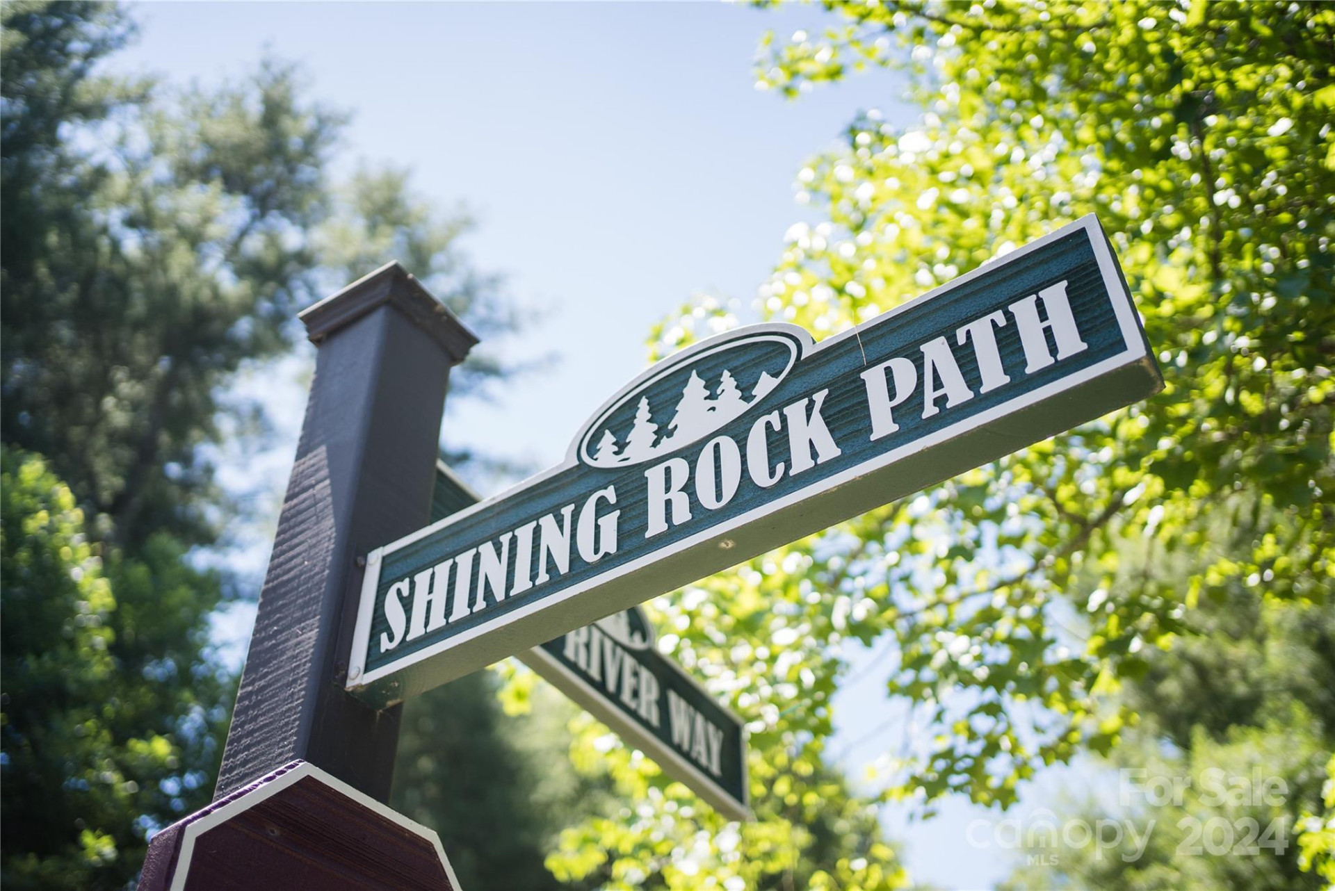 567 Shining Rock Path - Photo 8