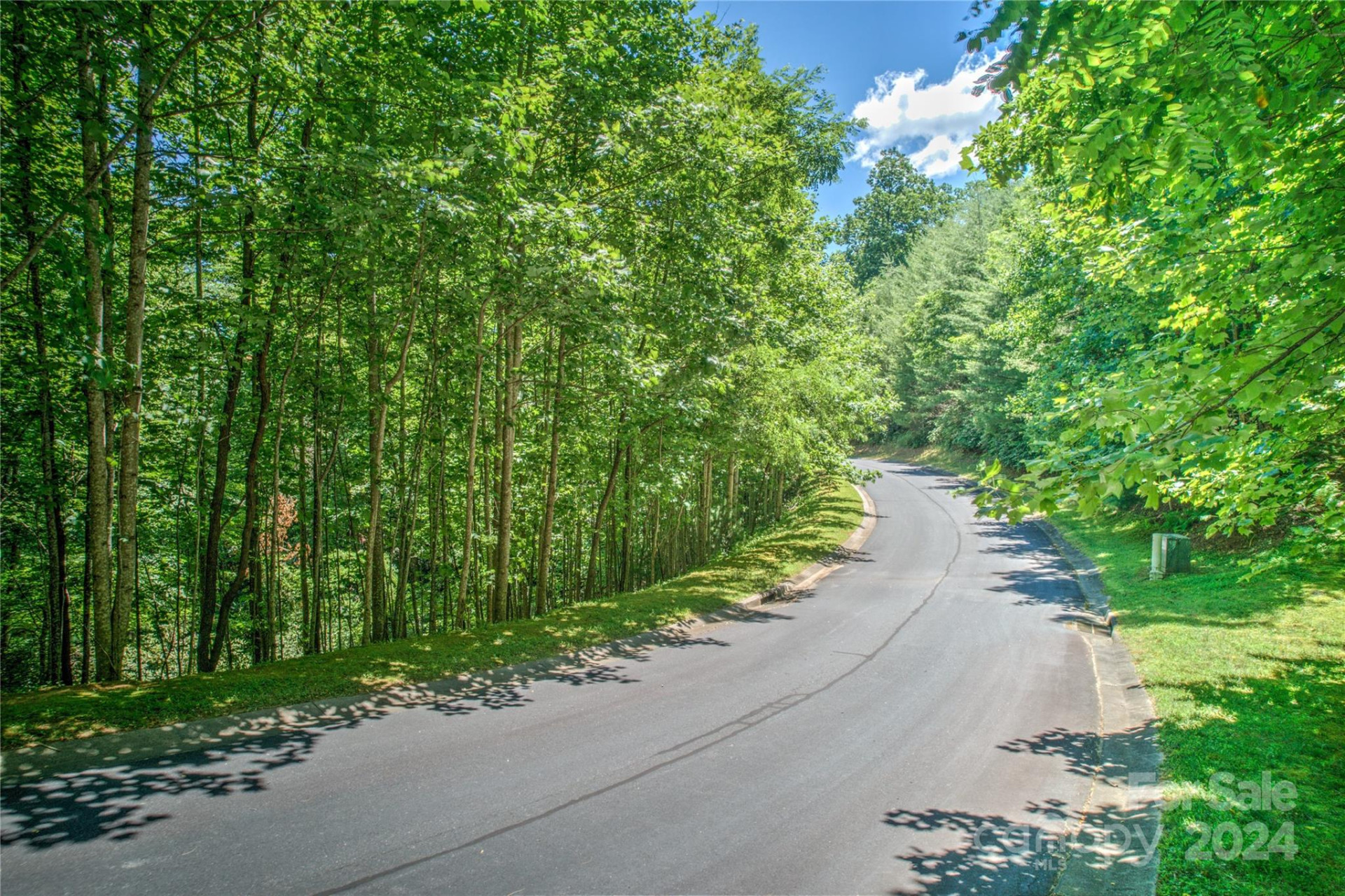 567 Shining Rock Path - Photo 9