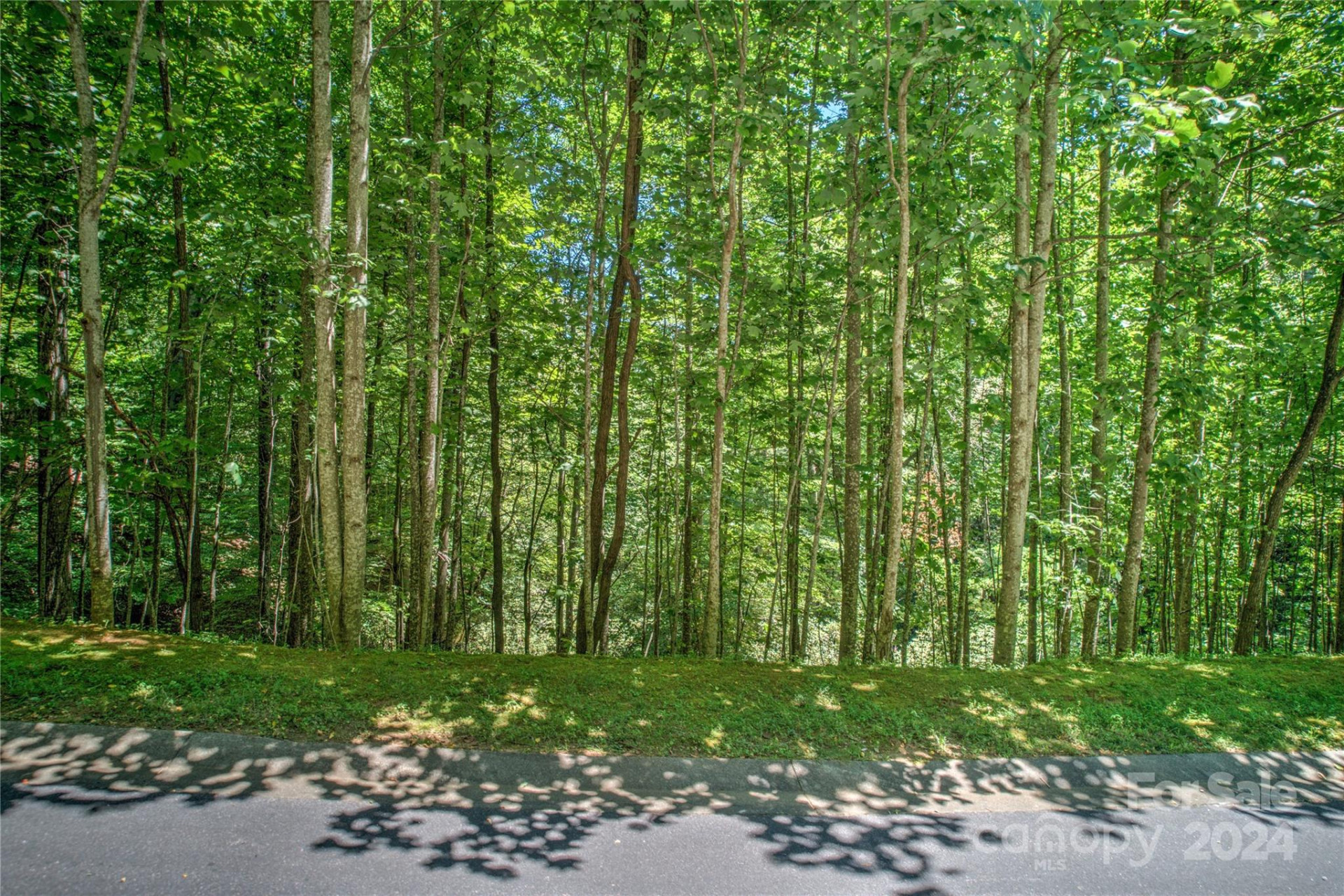 567 Shining Rock Path - Photo 10