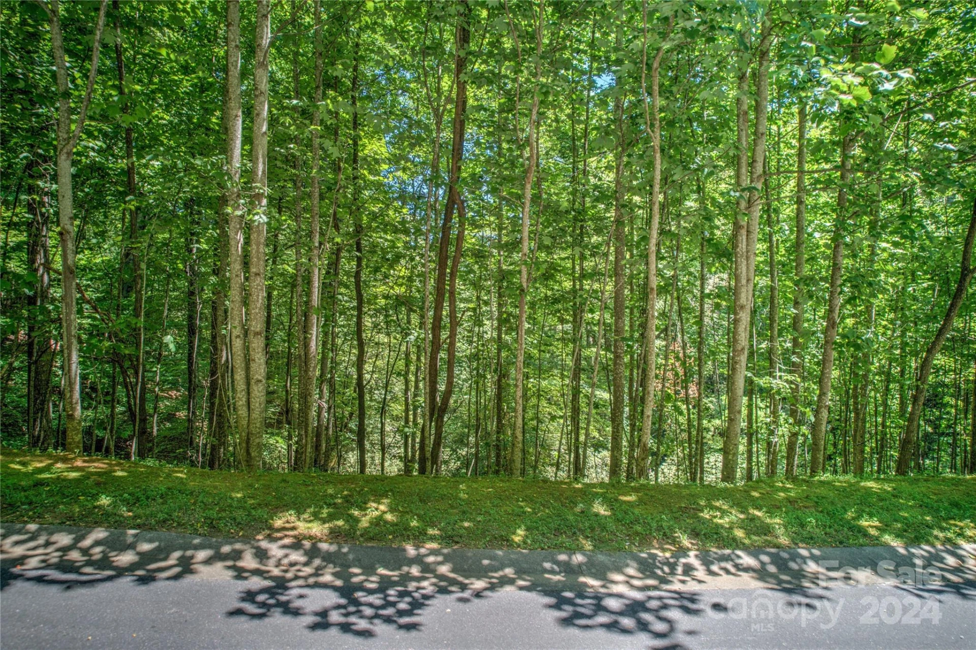567 Shining Rock Path - Photo 10