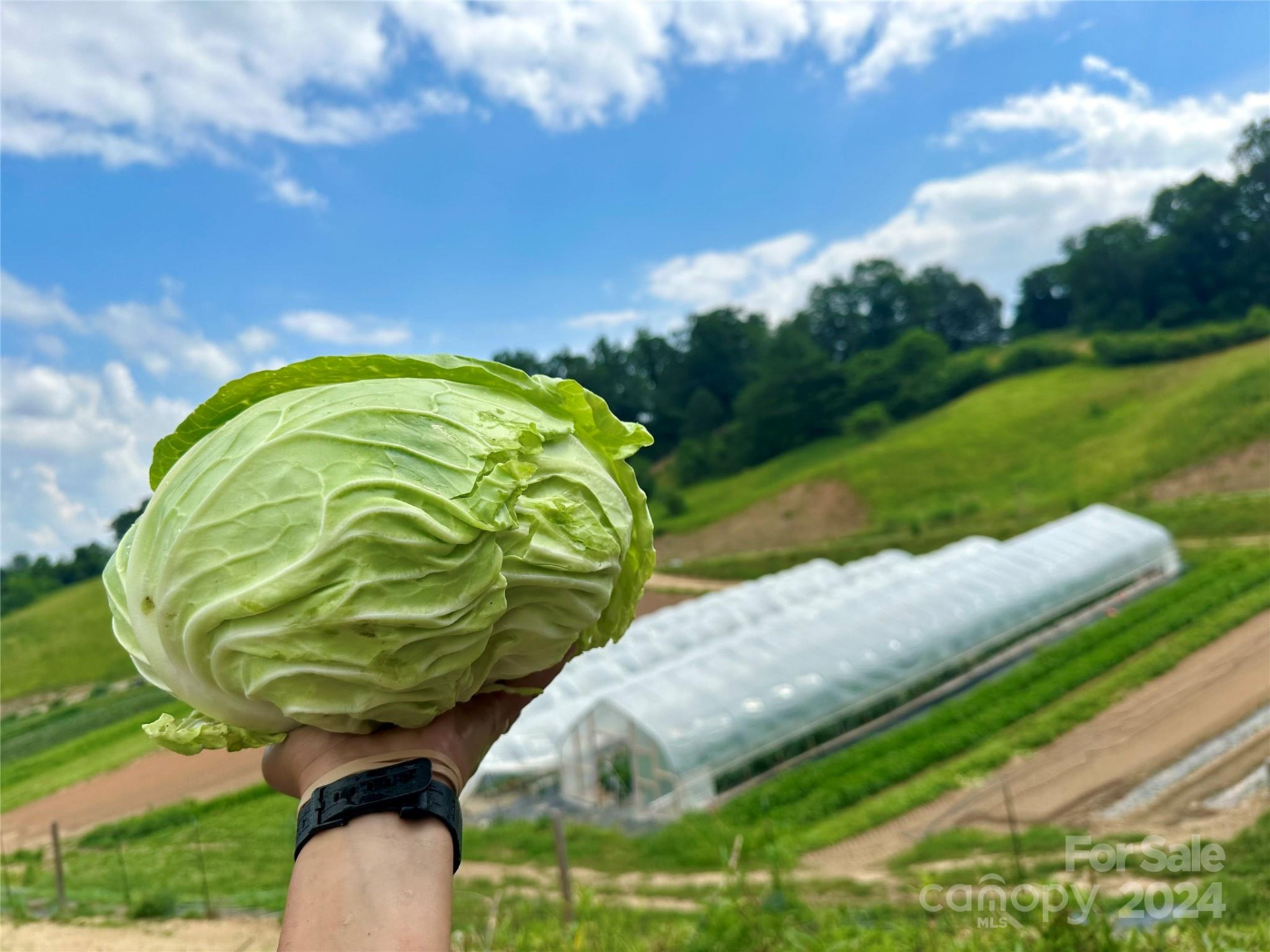 240 Westridge Farm Road #19 - Photo 5