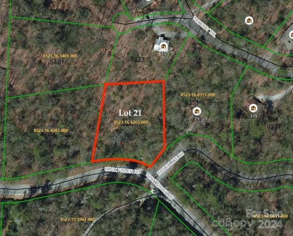 TBD Indian Lake Road, Lake Toxaway, NC, 28747
