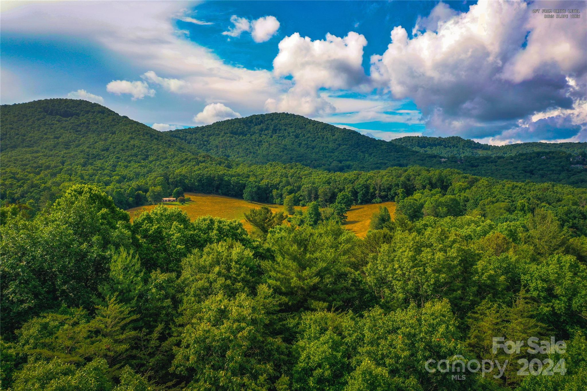 240 Smokemont Drive - Photo 11